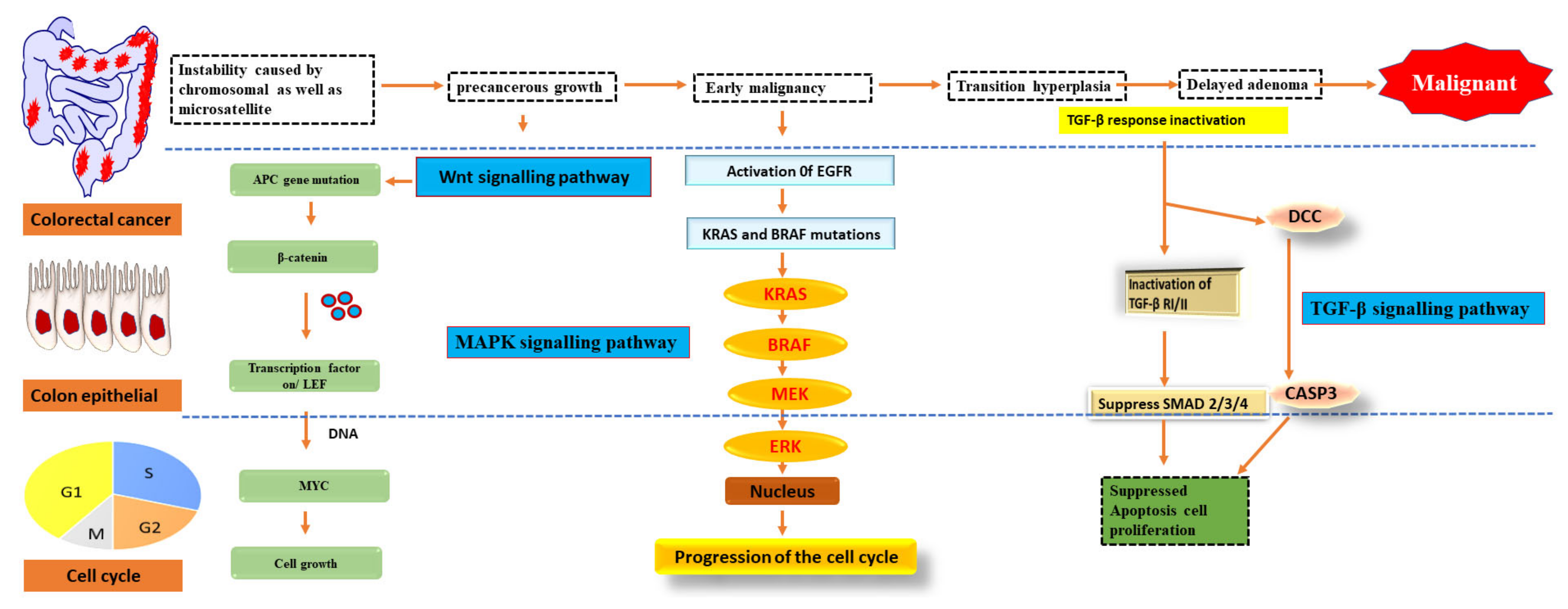 Nanomaterials 12 00169 g002