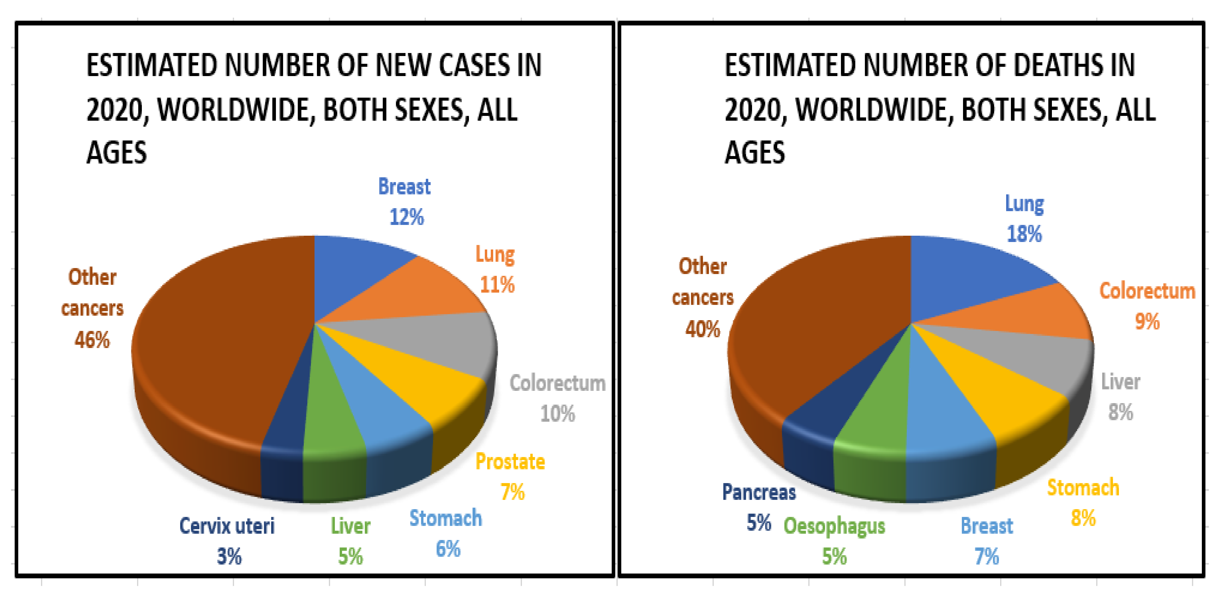 Nanomaterials 12 00169 g004