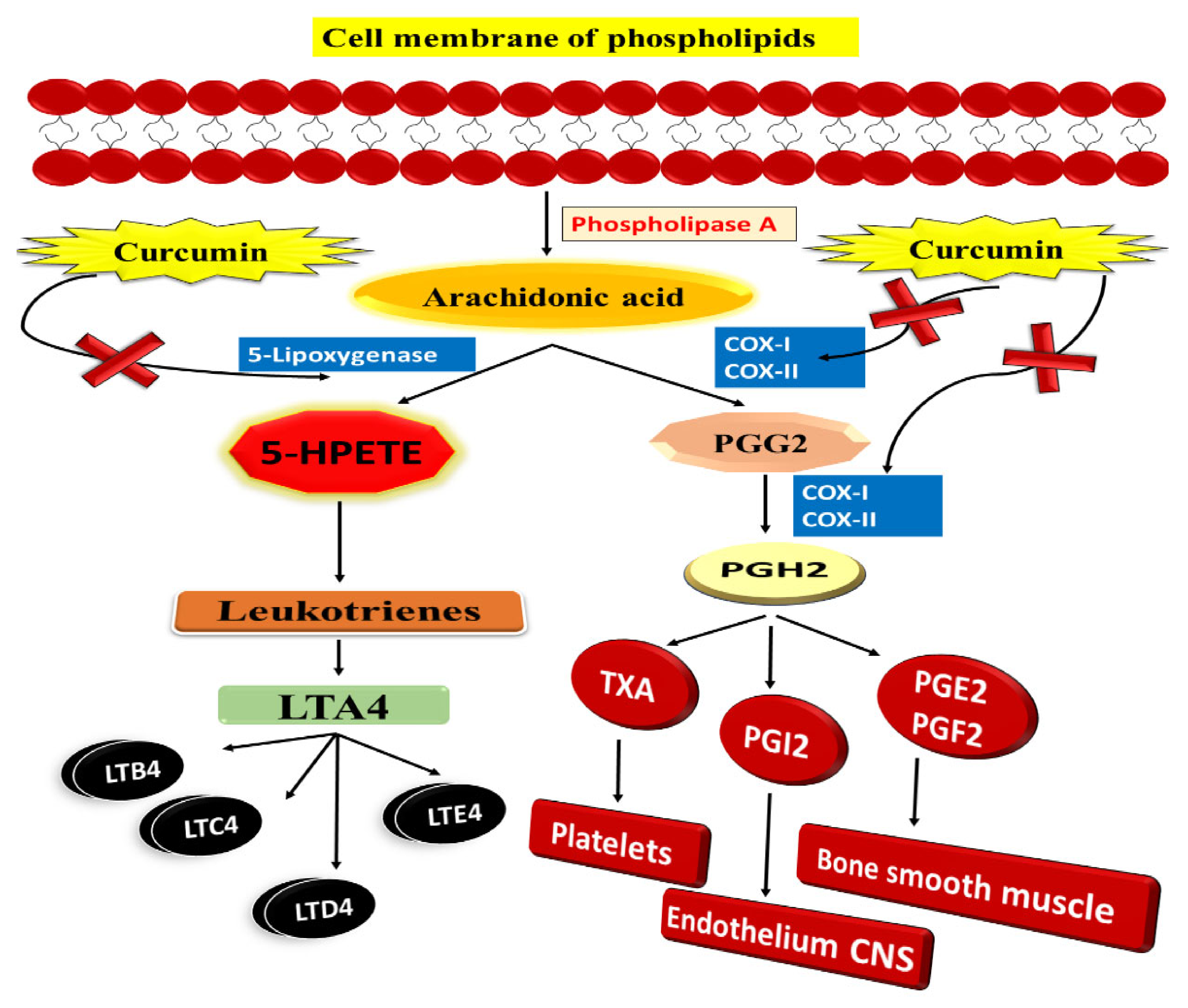 Nanomaterials 12 00169 g007