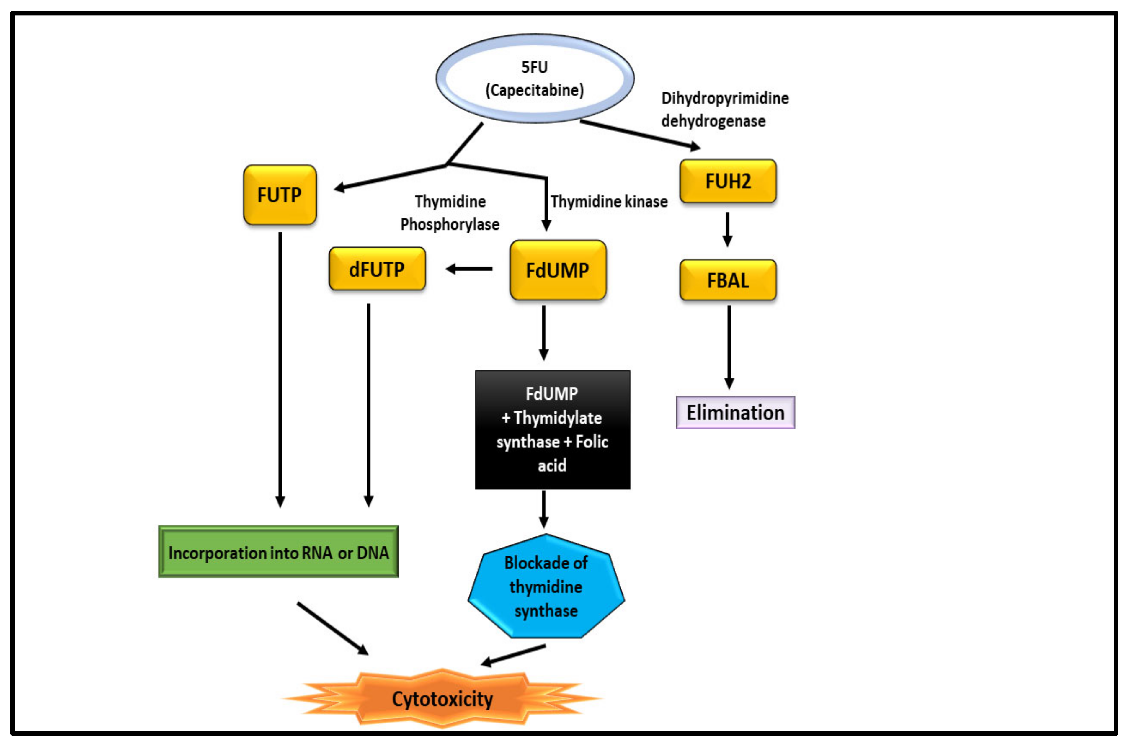 Nanomaterials 12 00169 g009