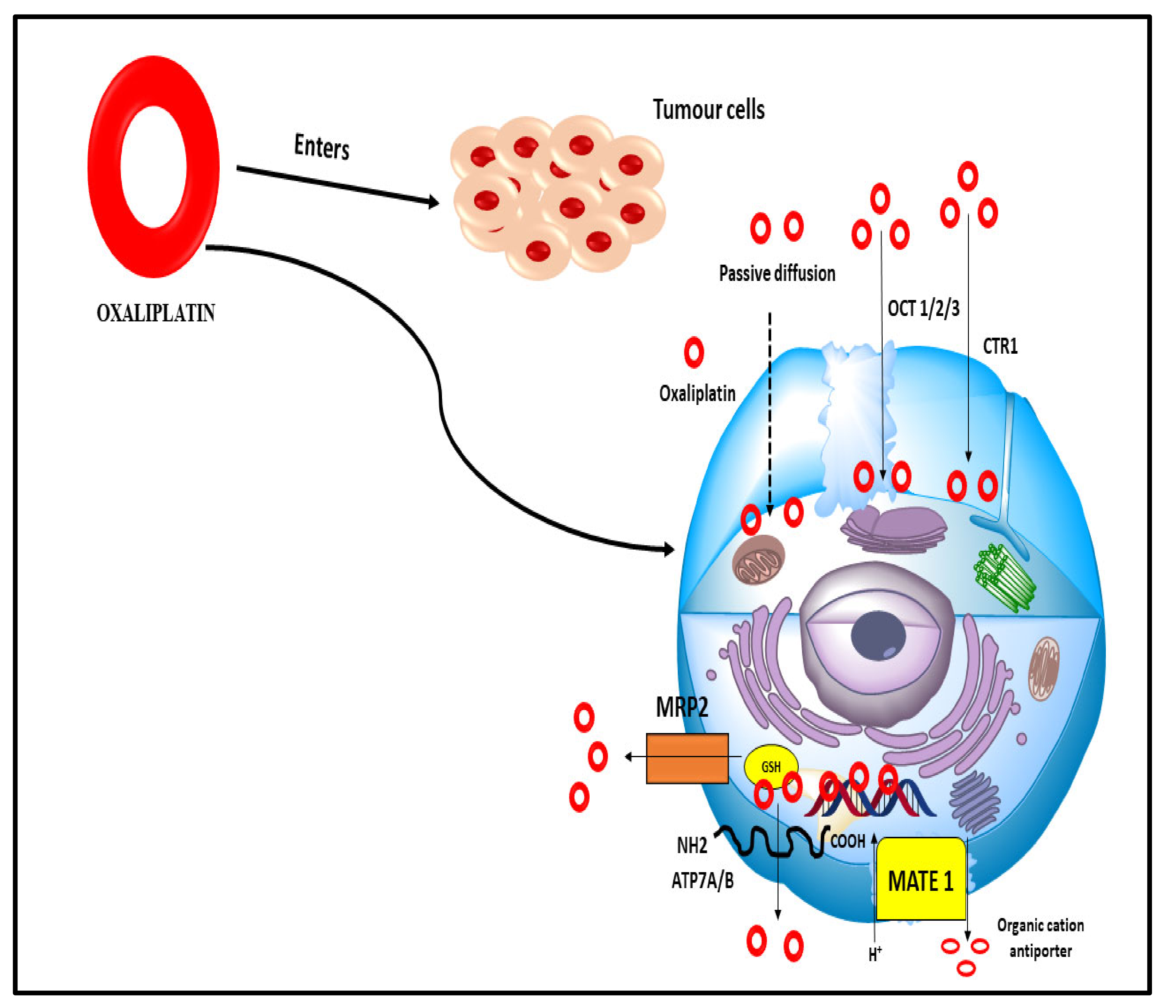 Nanomaterials 12 00169 g010