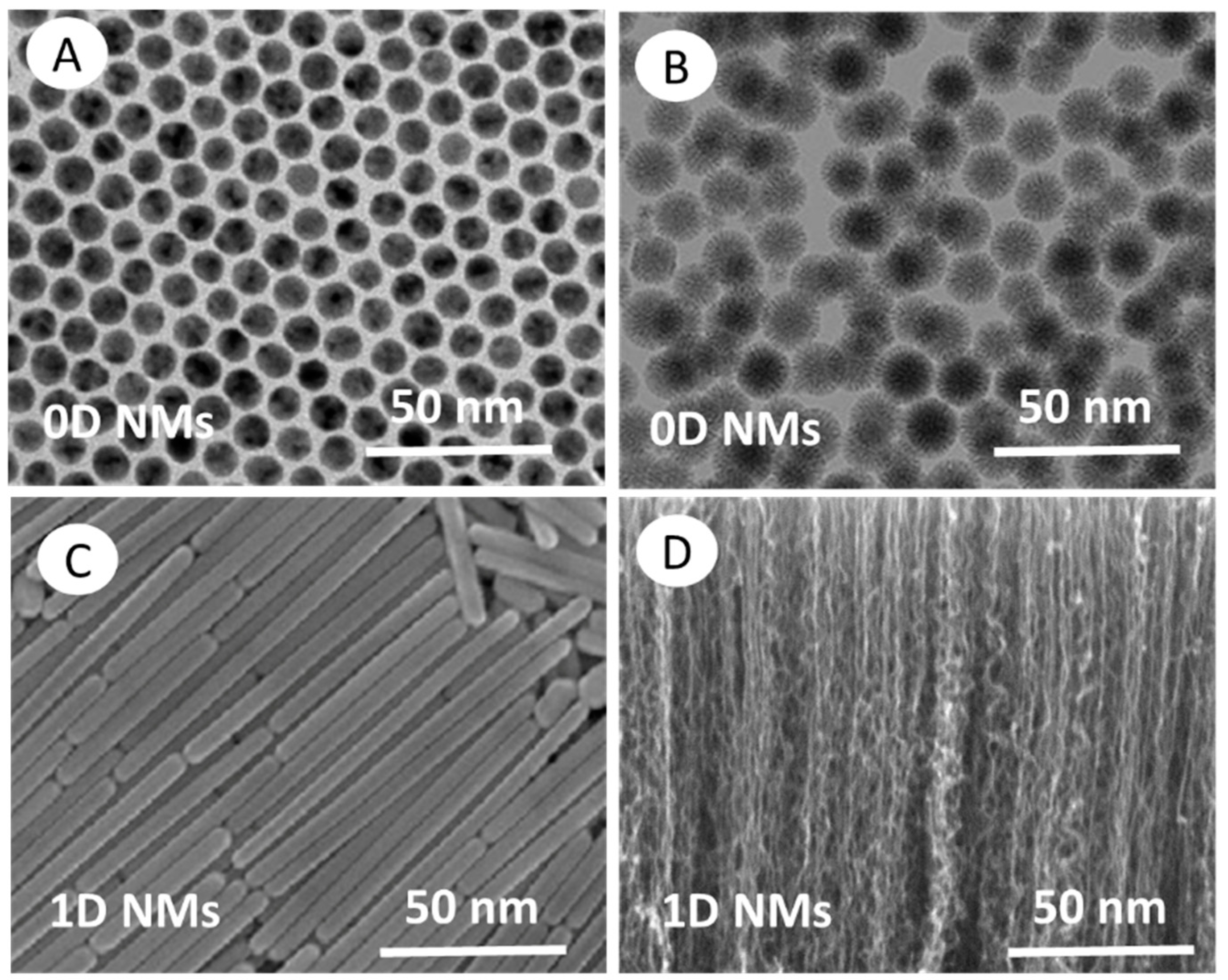 Nanomaterials 12 00177 g008a Nanomaterials 12 00177 g008a