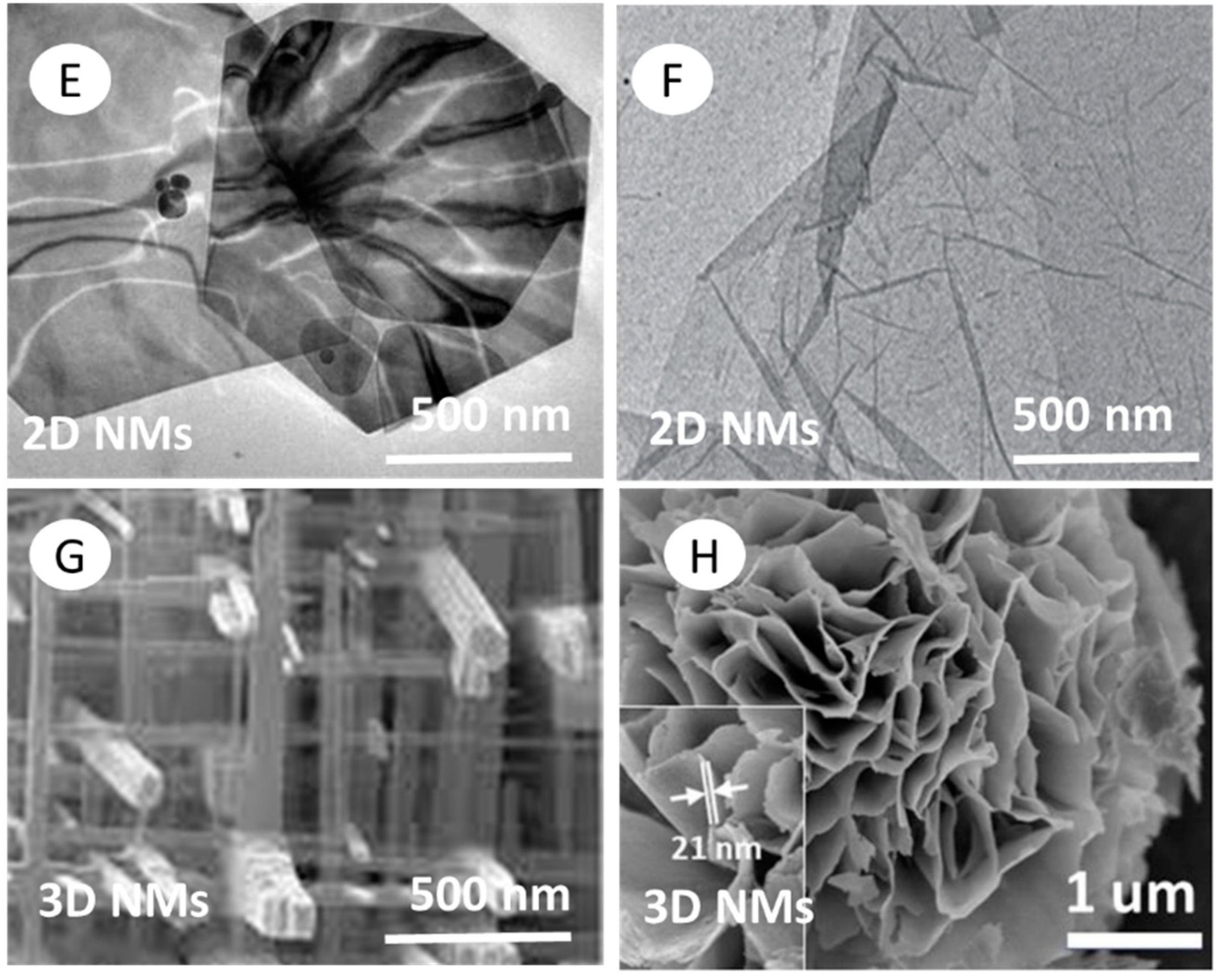 Nanomaterials 12 00177 g008b Nanomaterials 12 00177 g008b