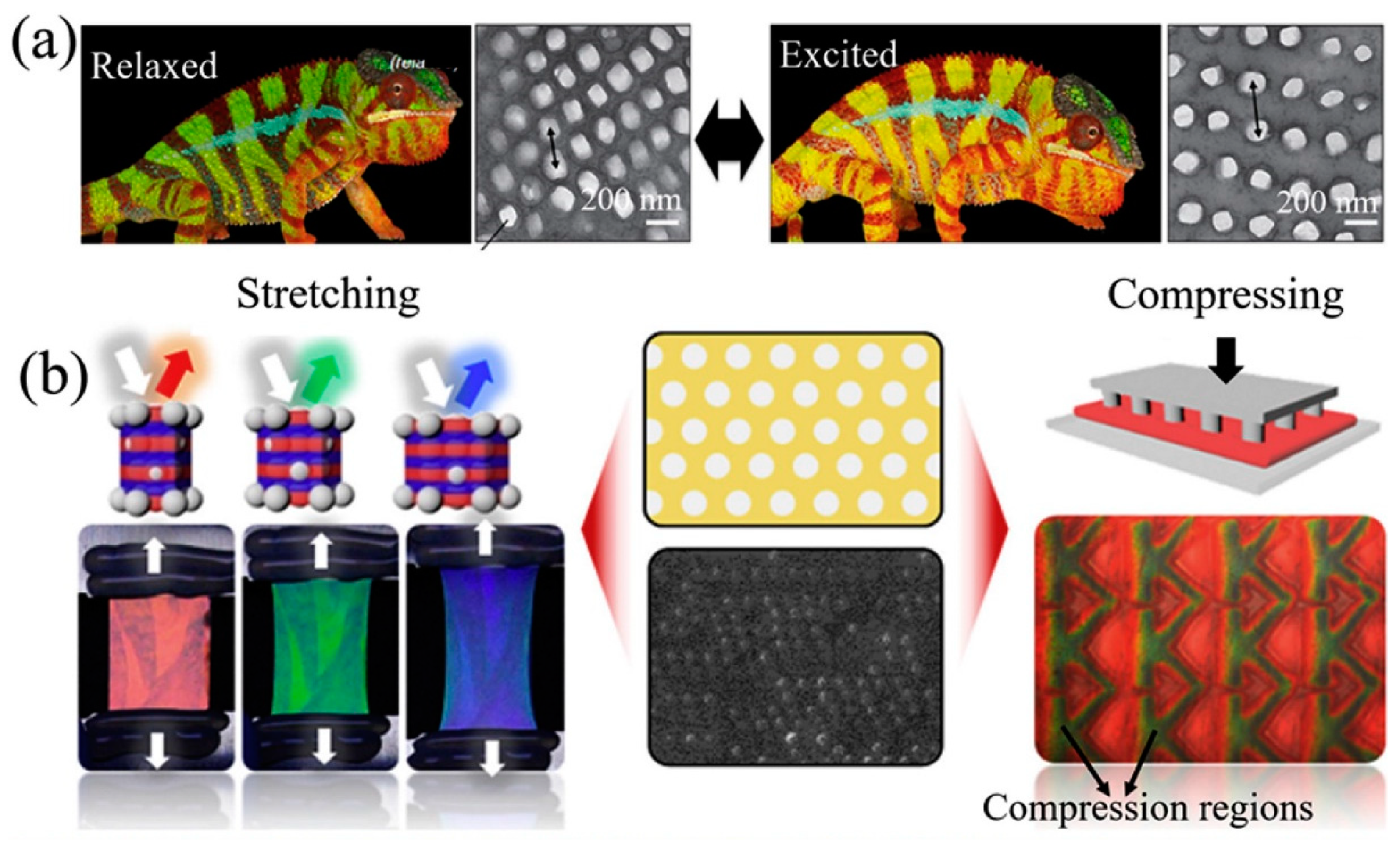 Nanomaterials 12 00177 g009 Nanomaterials 12 00177 g009