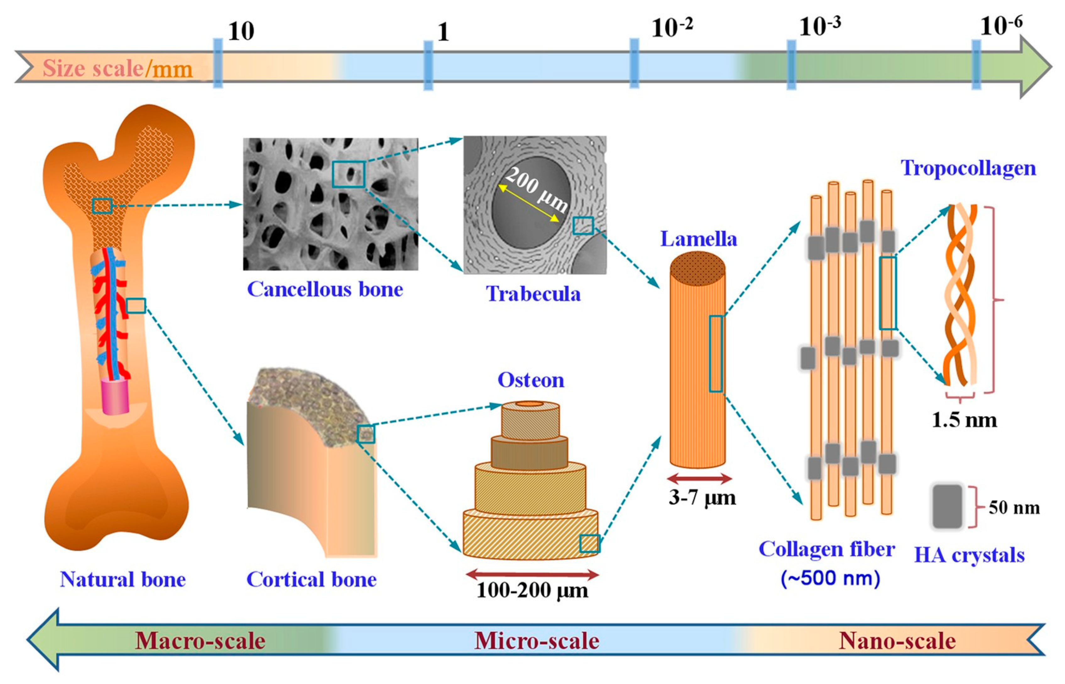 Nanomaterials 12 00177 g015 Nanomaterials 12 00177 g015