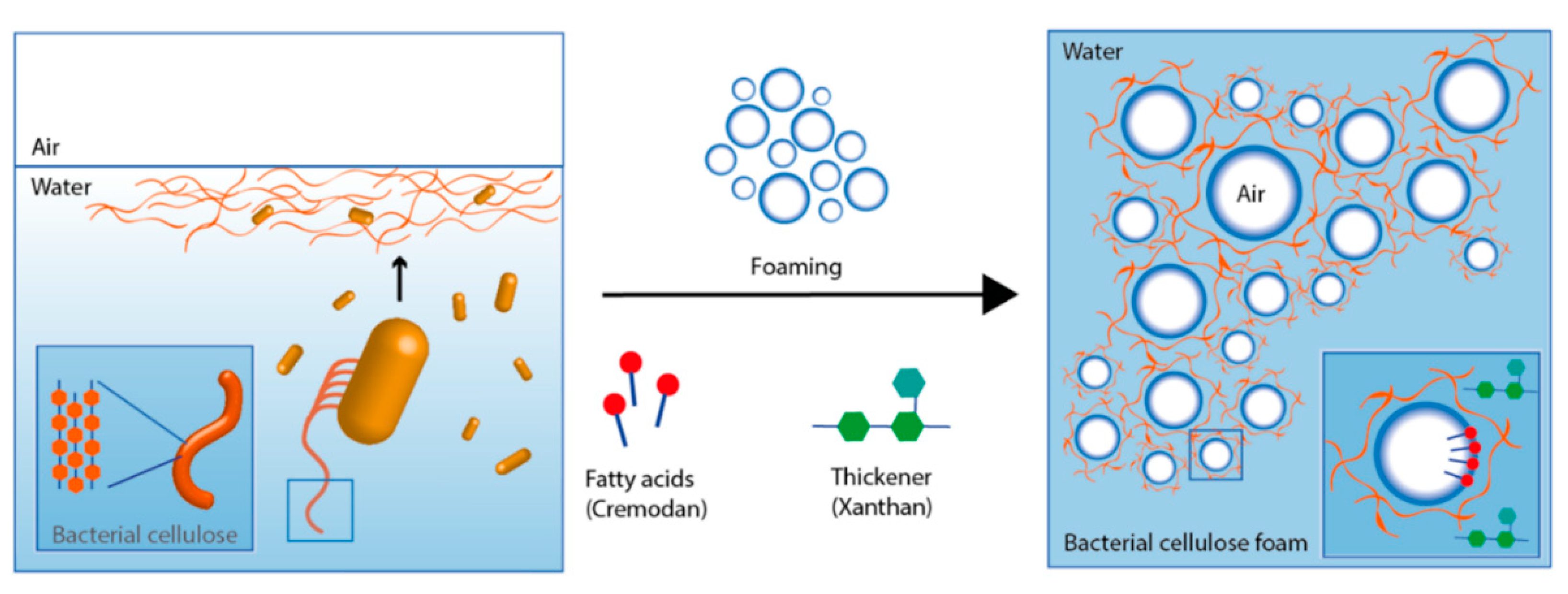 Nanomaterials 12 00177 g016 Nanomaterials 12 00177 g016