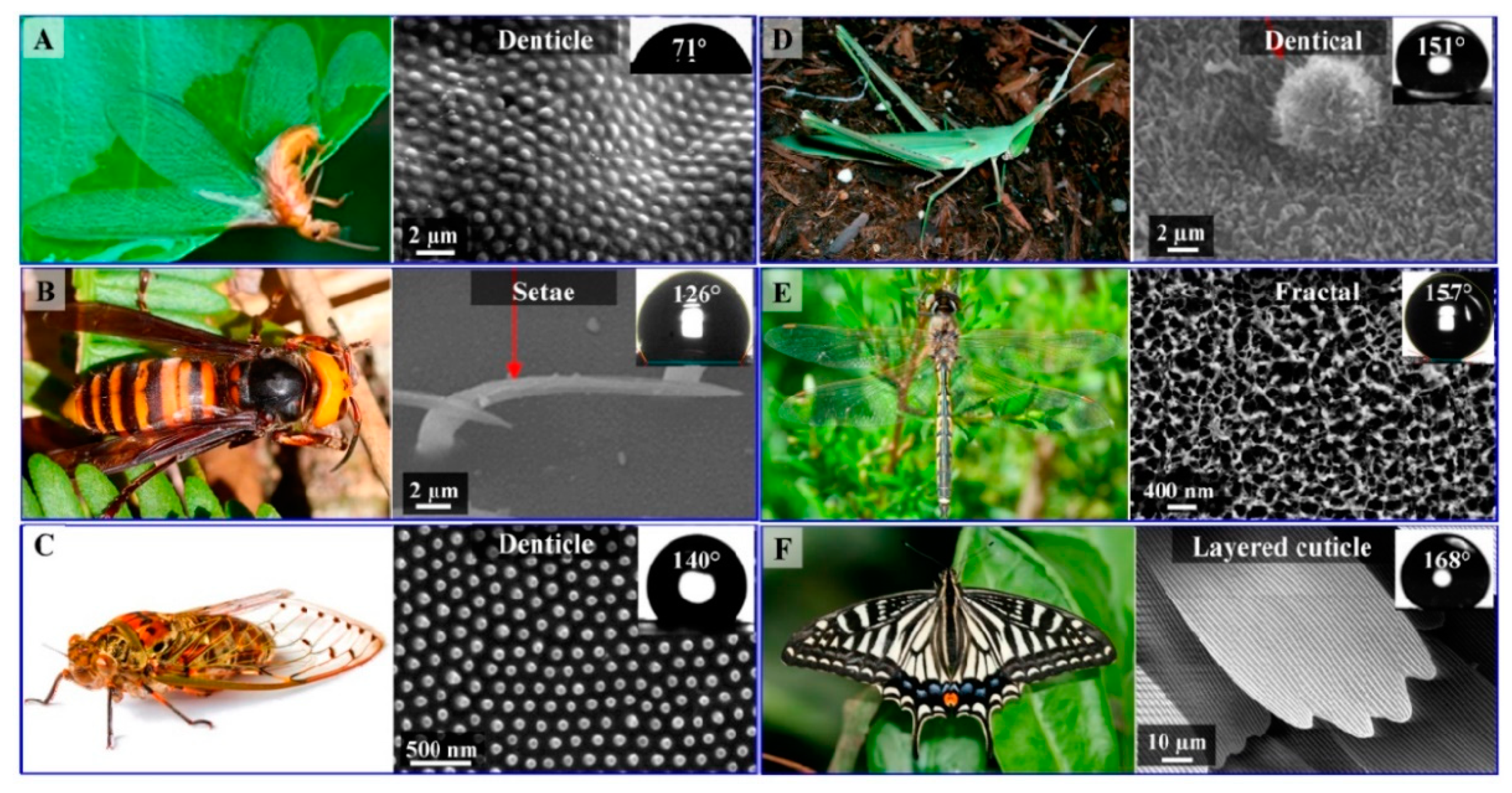 Nanomaterials 12 00177 g017 Nanomaterials 12 00177 g017