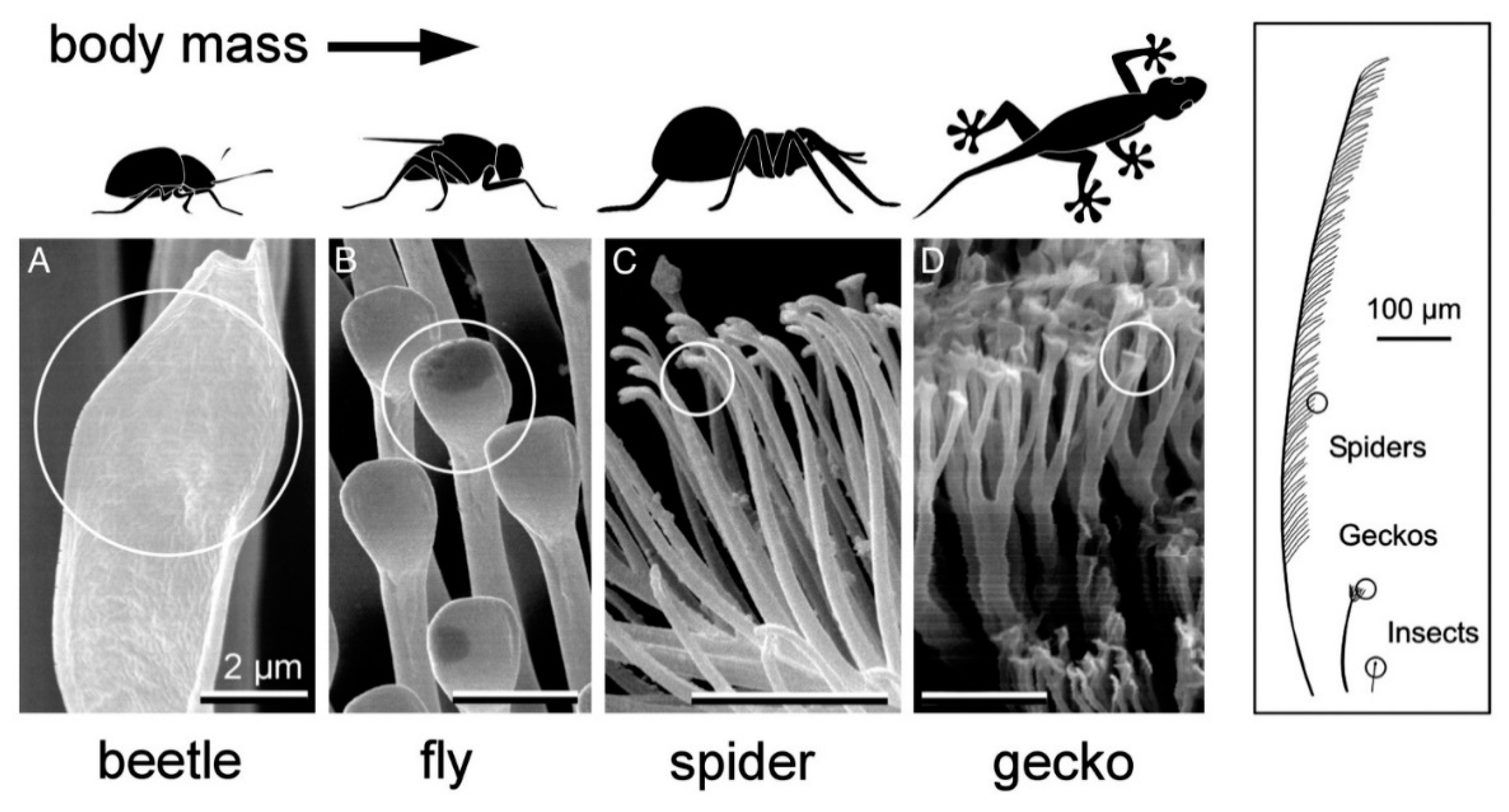 Nanomaterials 12 00177 g020 Nanomaterials 12 00177 g020