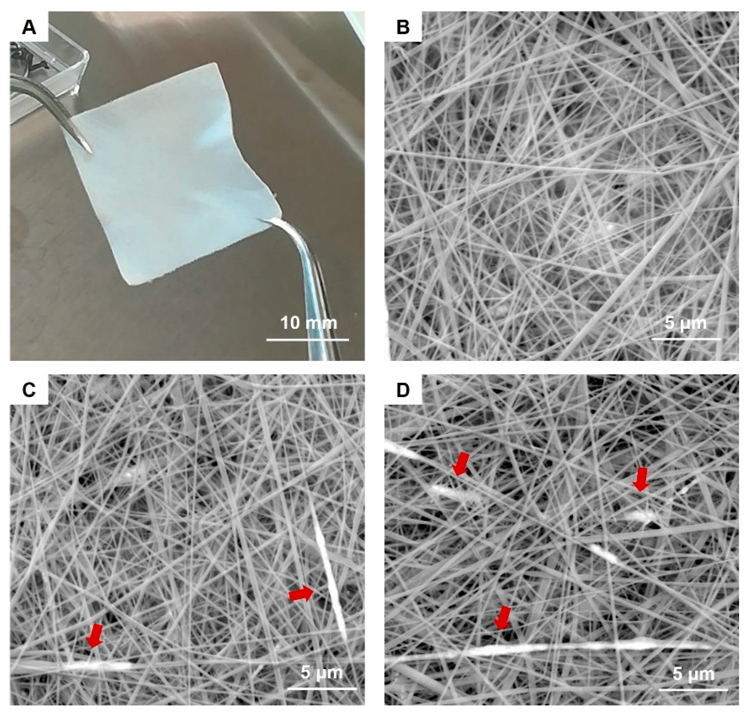 Nanomaterials 12 00181 g003