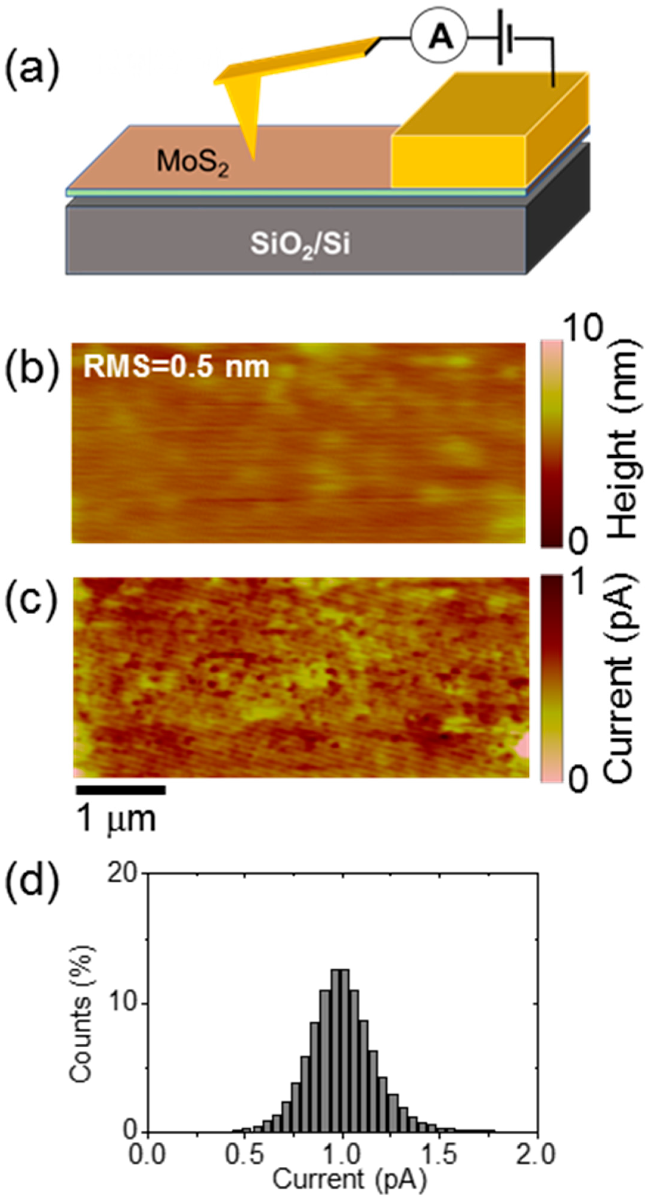 Nanomaterials 12 00182 g007 550
