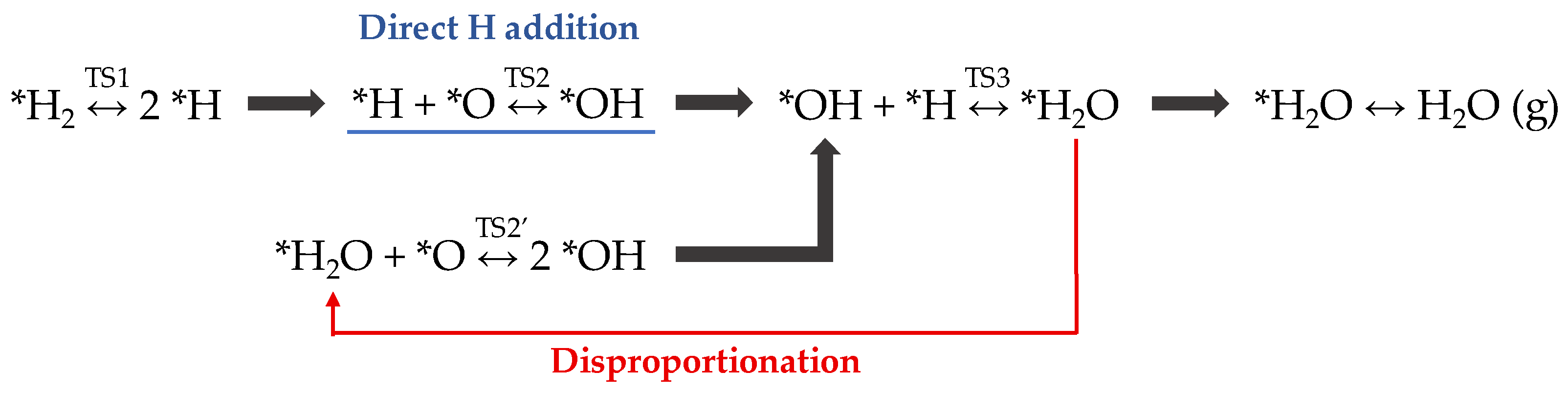 Nanomaterials 12 00183 g002