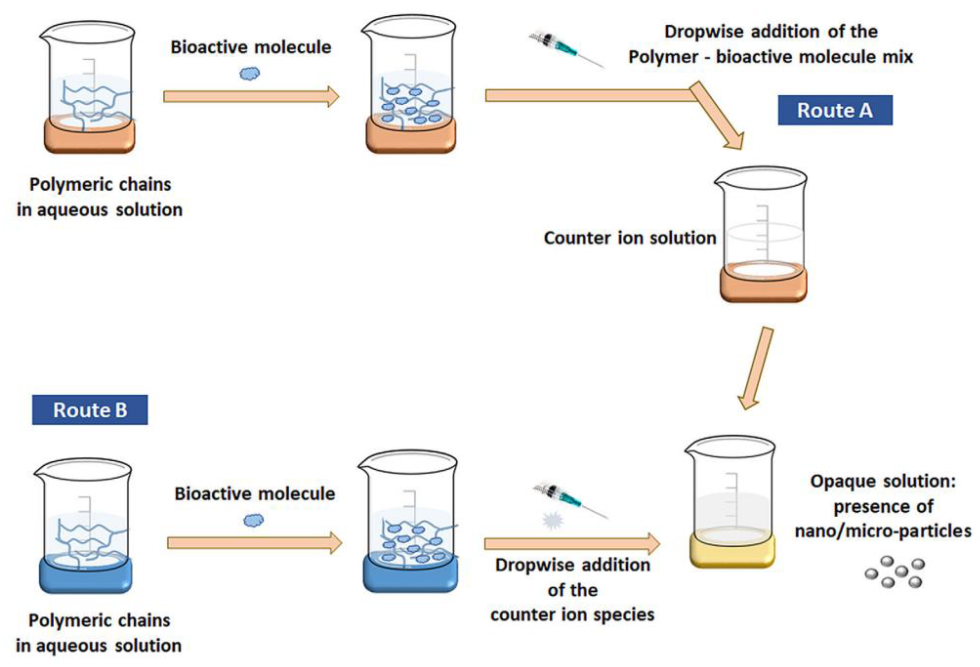 Nanomaterials 12 00186 g002
