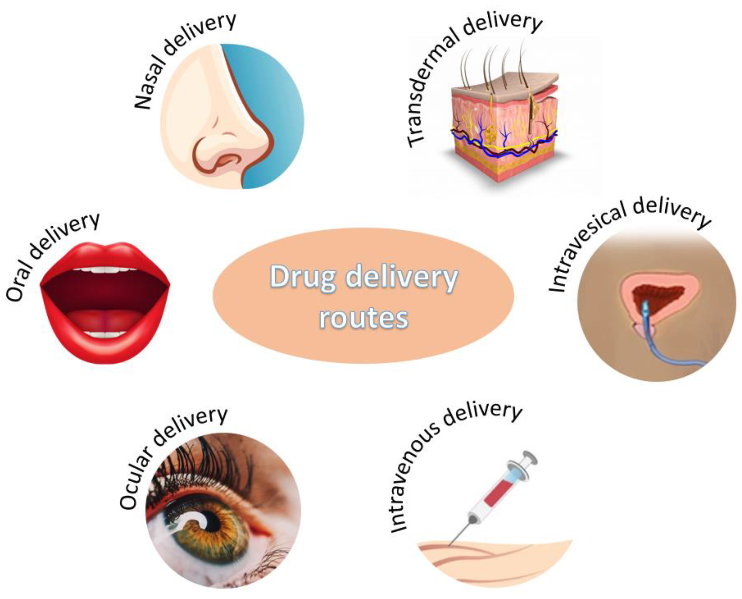 Nanomaterials 12 00186 g003