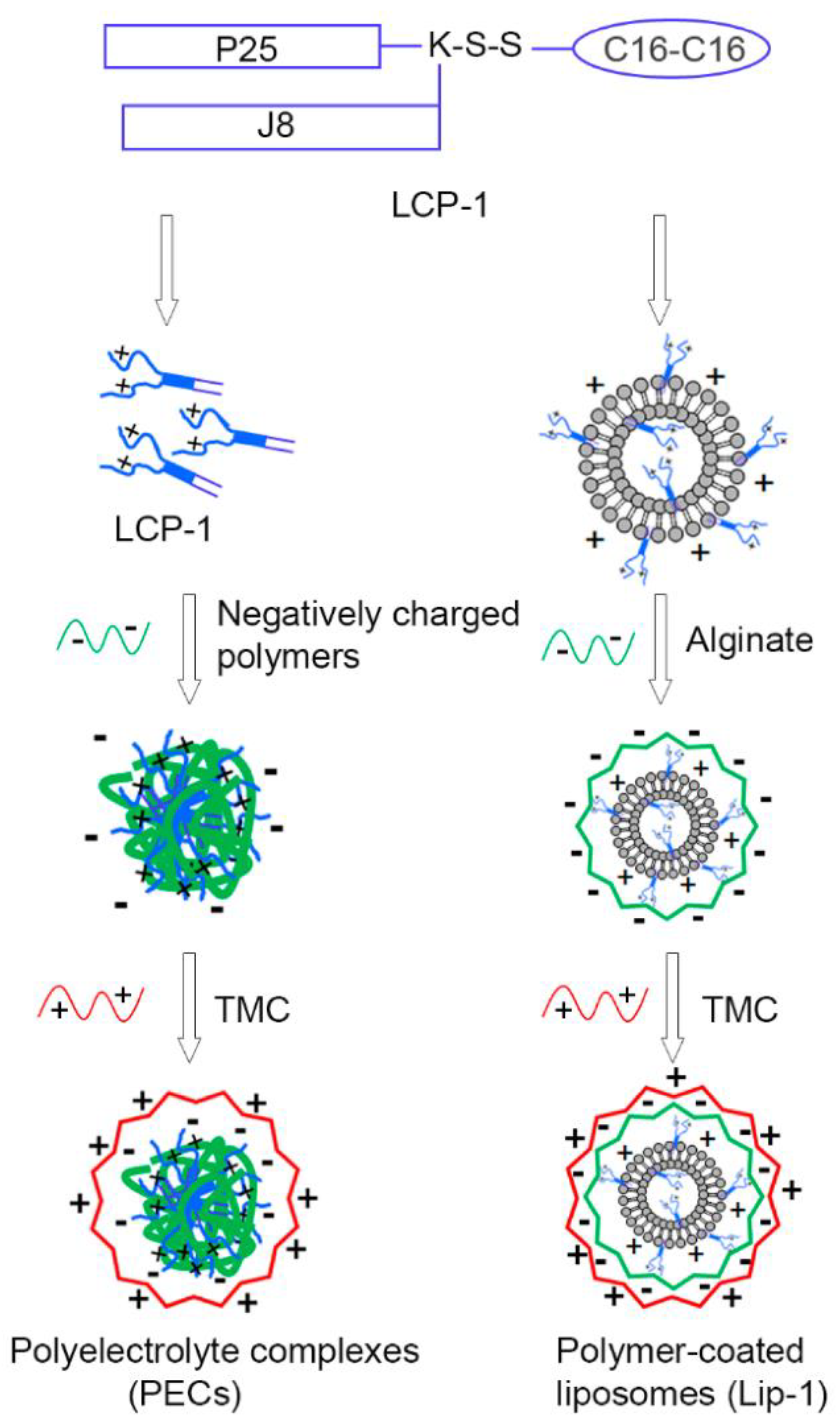 Nanomaterials 12 00186 g008