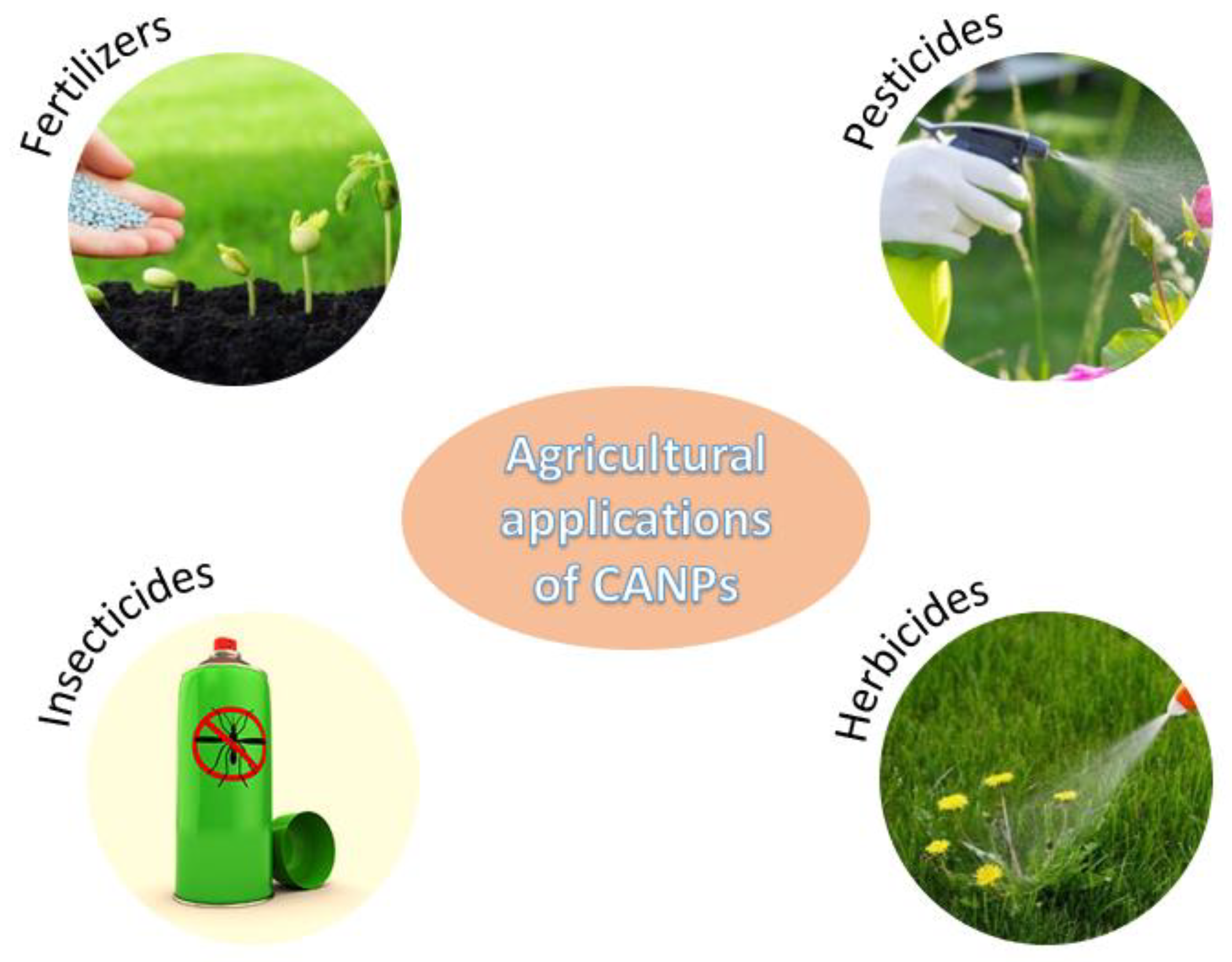 Nanomaterials 12 00186 g010
