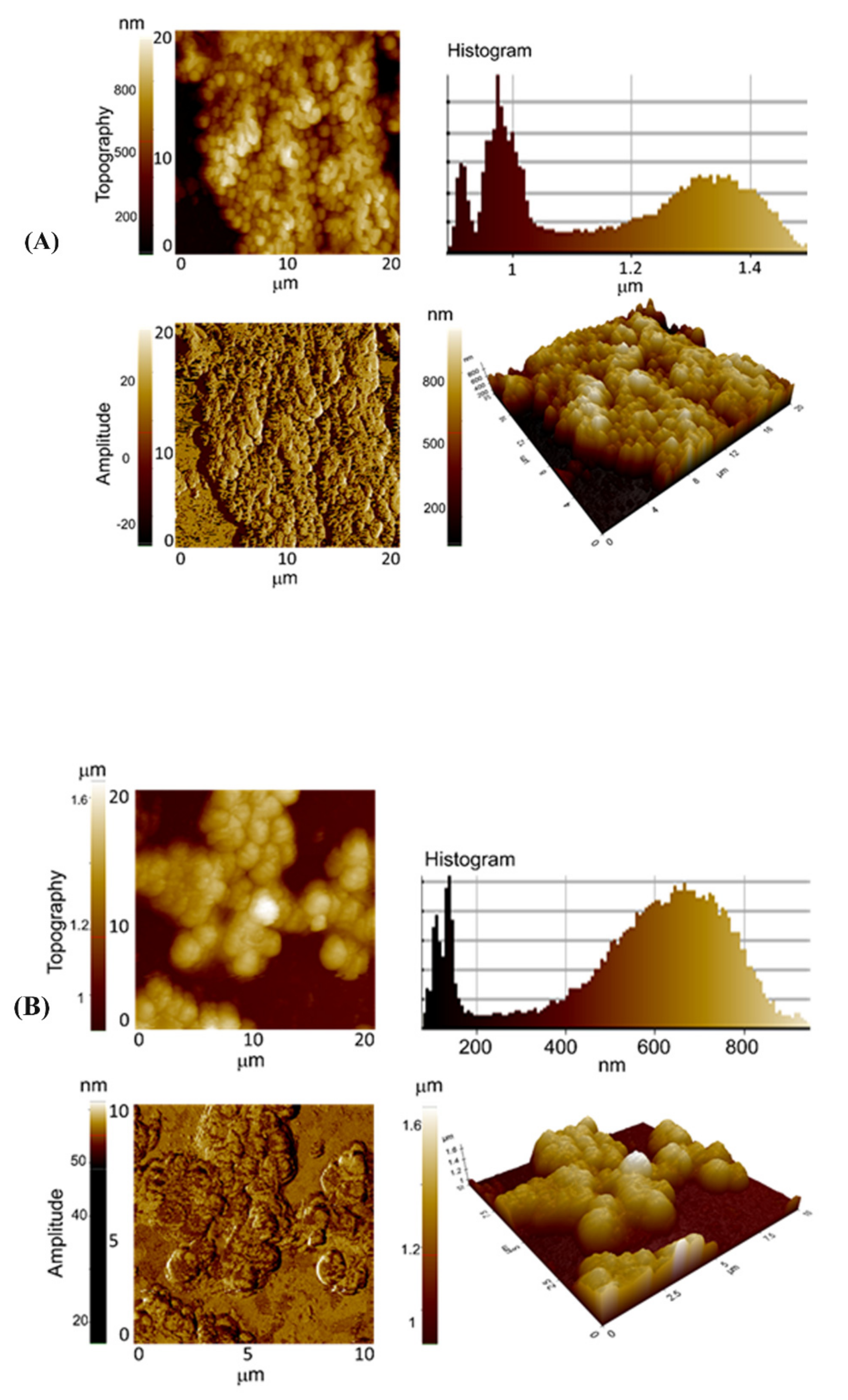Nanomaterials 12 00191 g009 550