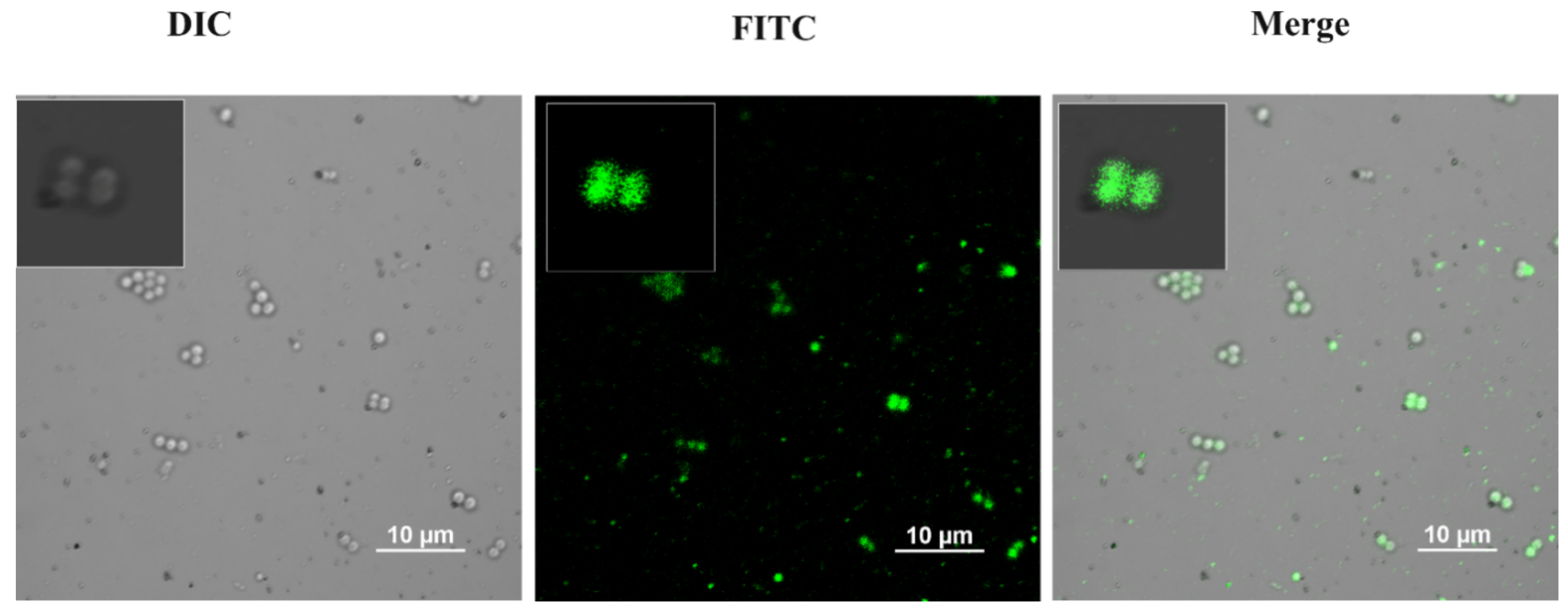 Nanomaterials 12 00191 g010 550