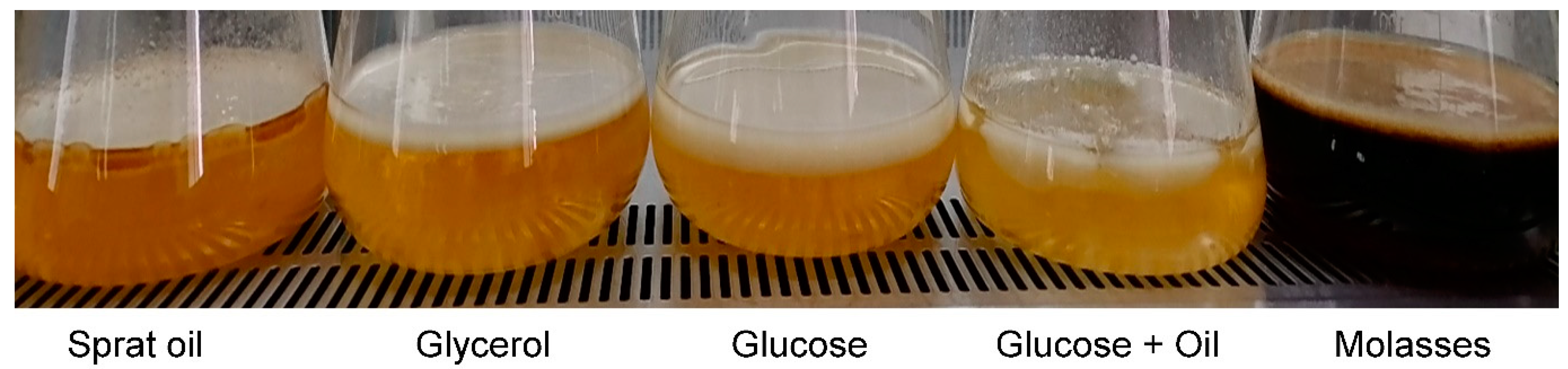 Nanomaterials 12 00192 g001