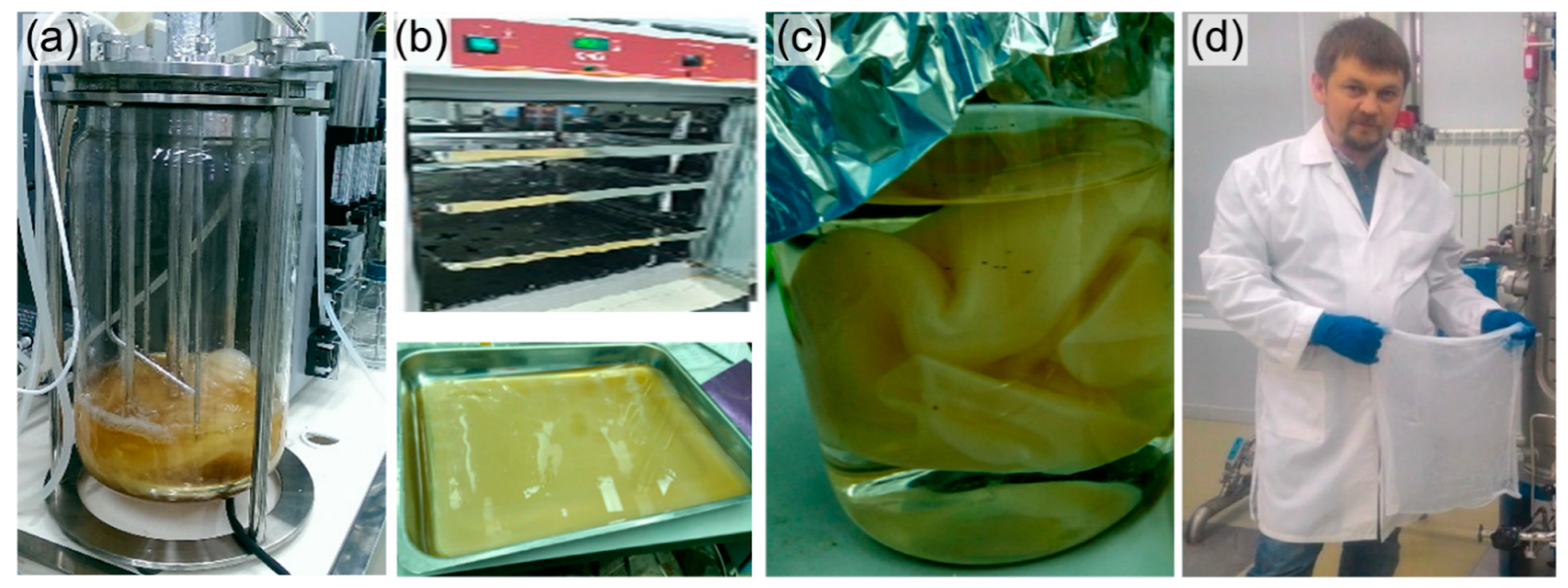 Nanomaterials 12 00192 g004