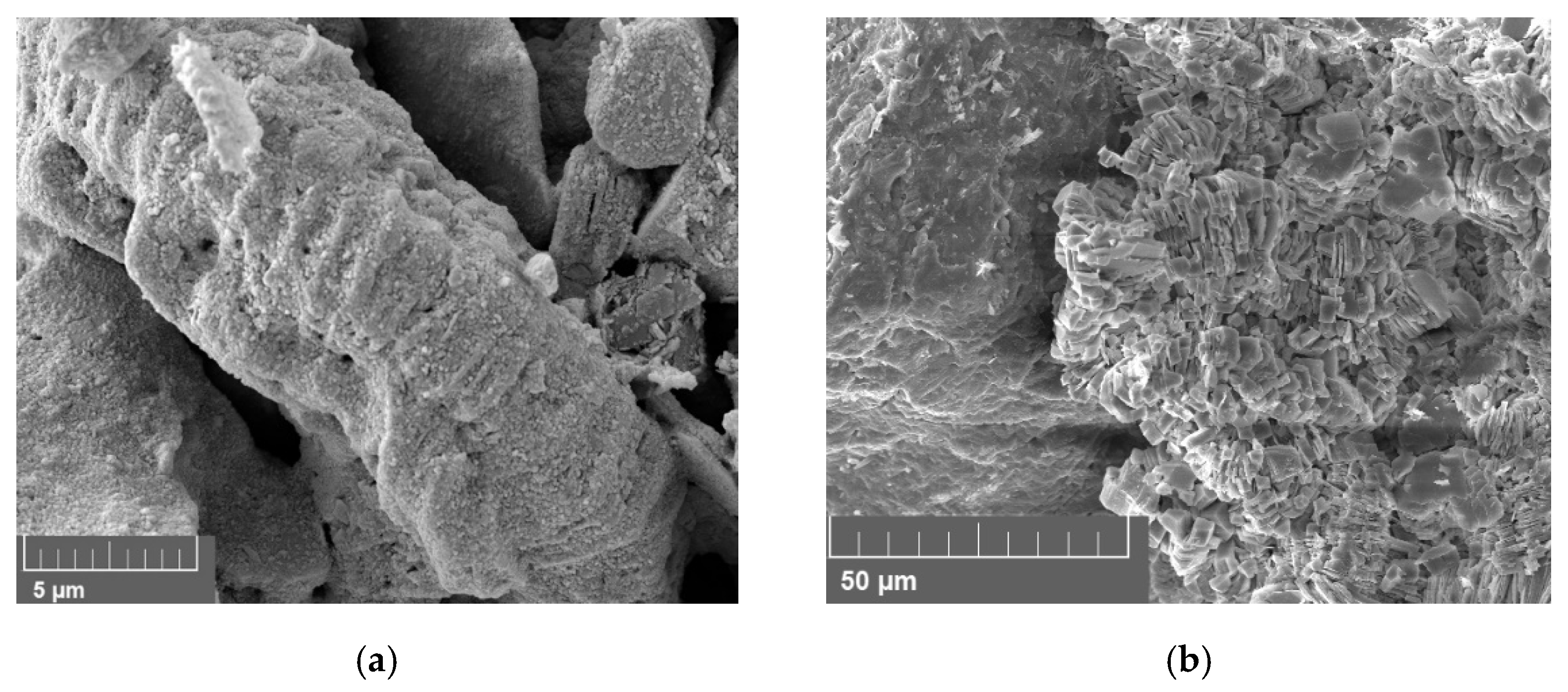 Nanomaterials 12 00200 g017
