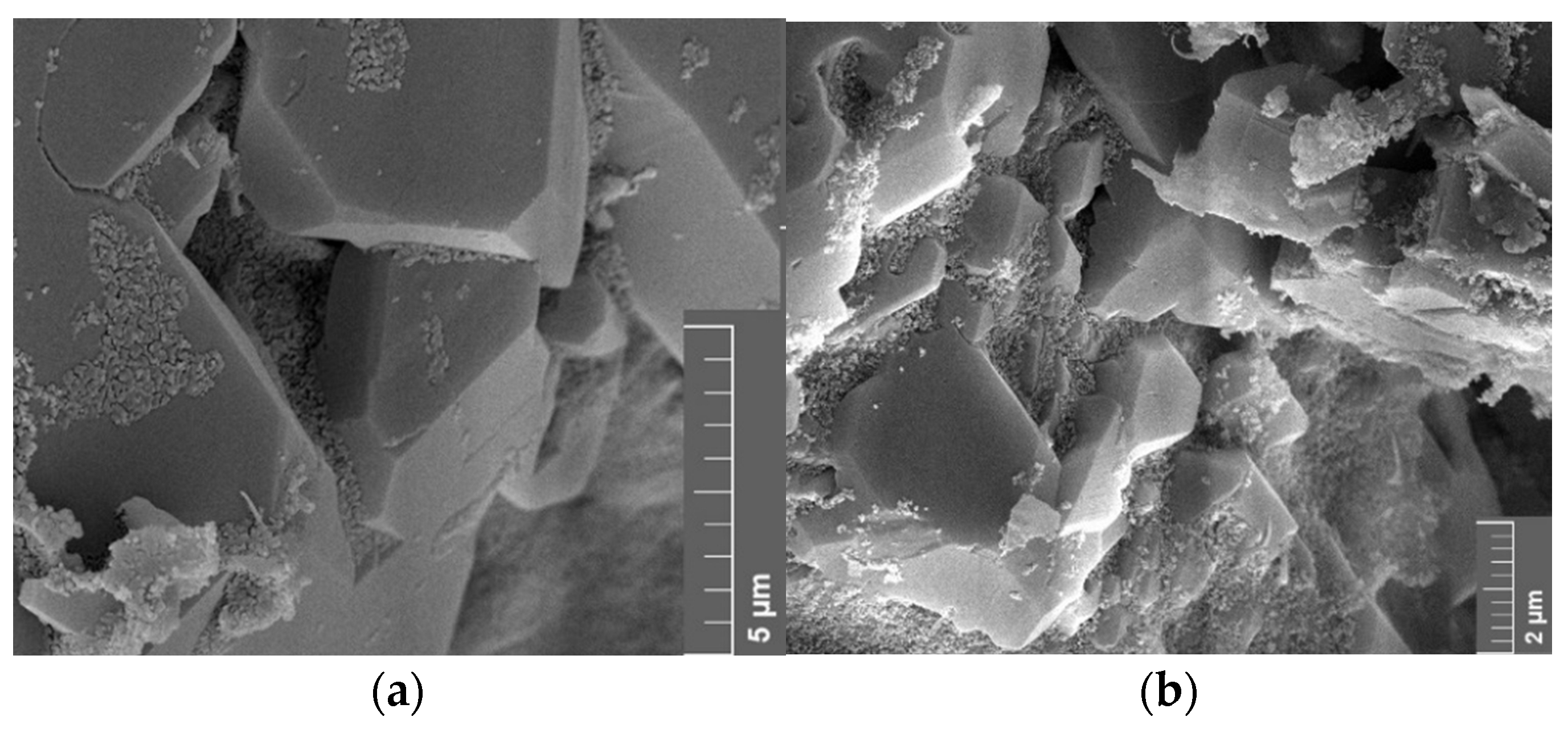 Nanomaterials 12 00200 g020