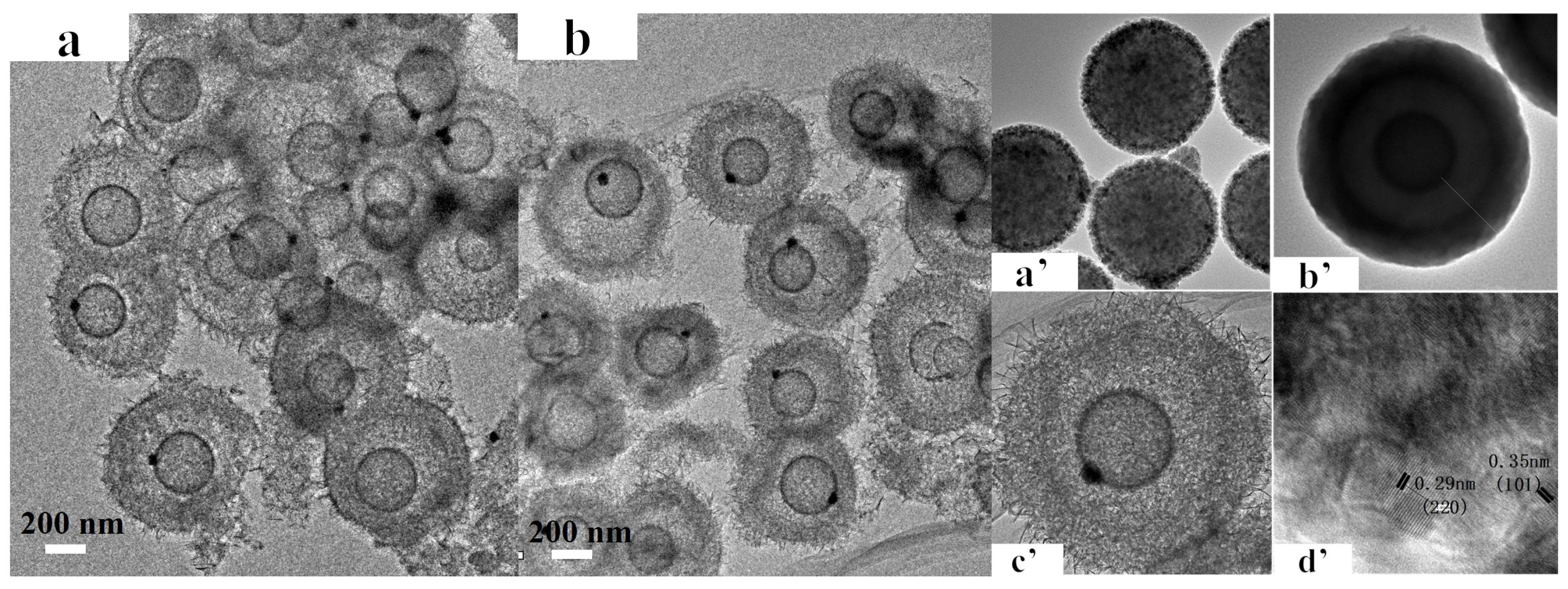 Nanomaterials 12 00201 g004