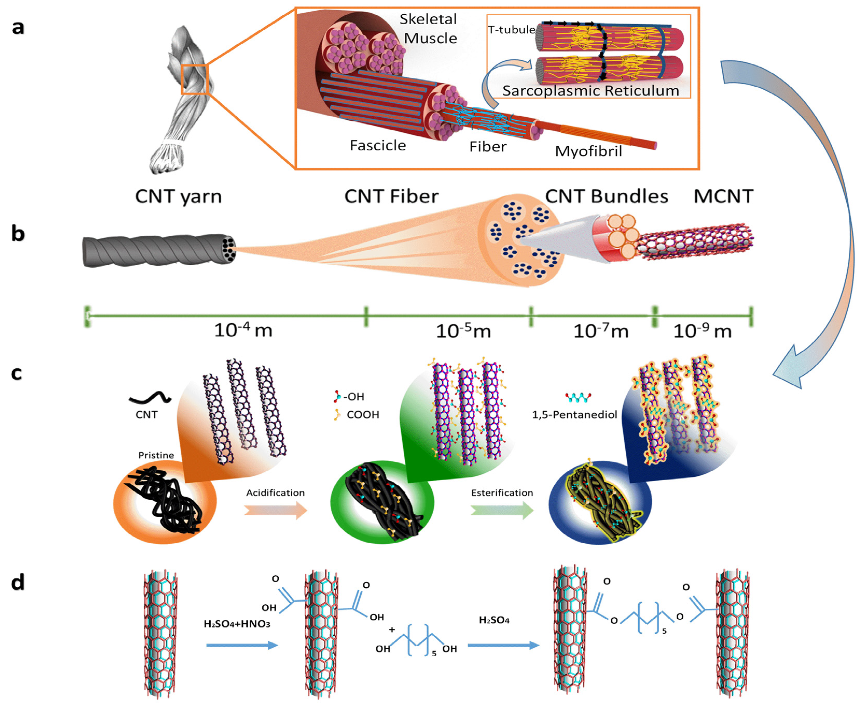 Nanomaterials 12 00208 g001 550
