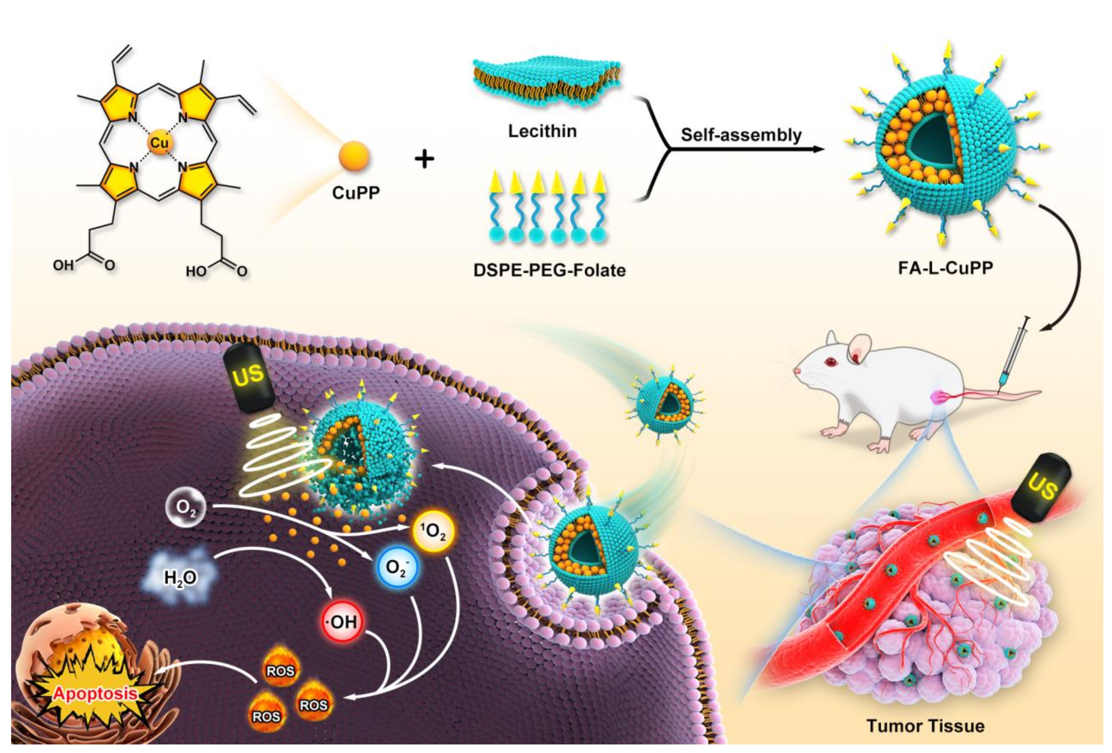 Nanomaterials 12 00209 g001