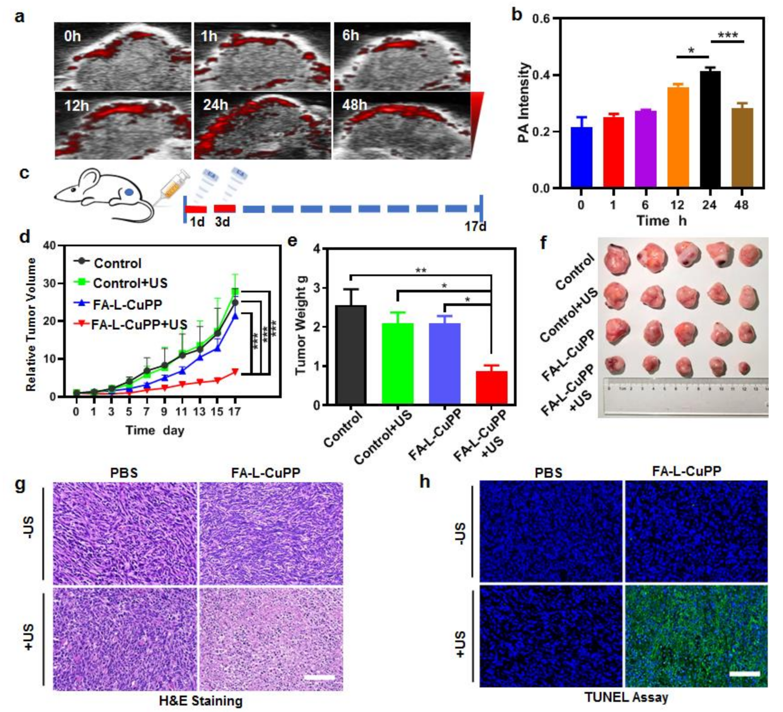 Nanomaterials 12 00209 g004