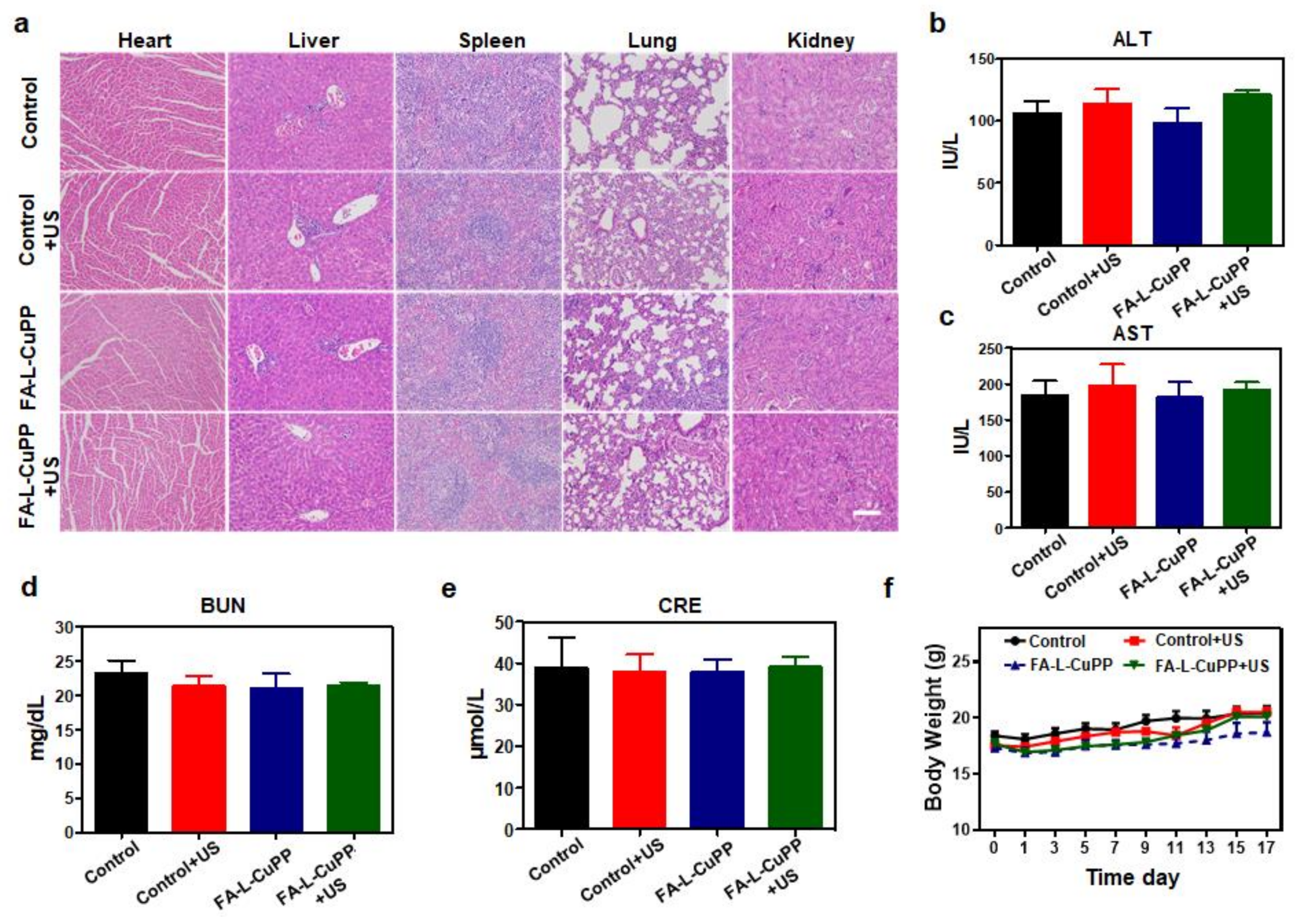 Nanomaterials 12 00209 g005
