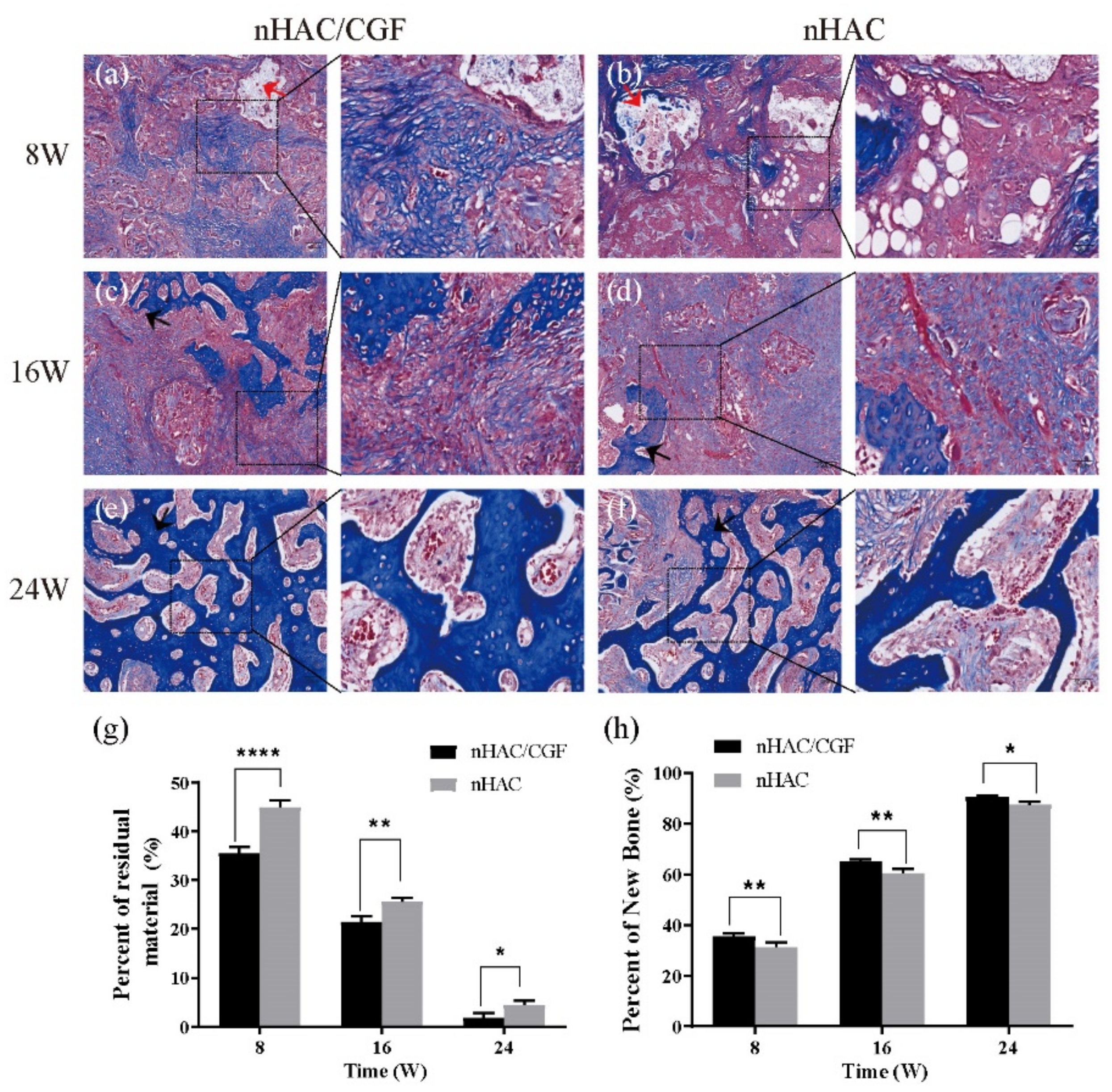 Nanomaterials 12 00212 g008 Nanomaterials 12 00212 g008