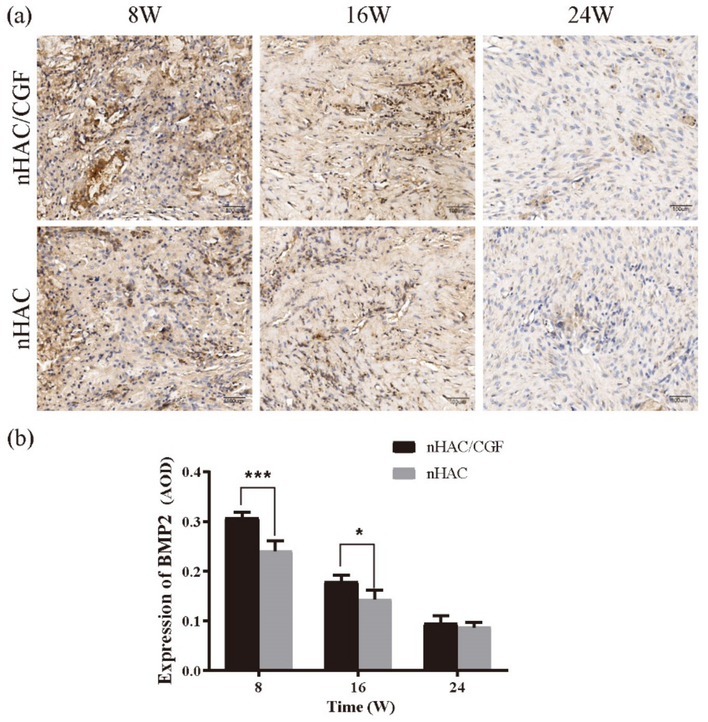 Nanomaterials 12 00212 g009 Nanomaterials 12 00212 g009