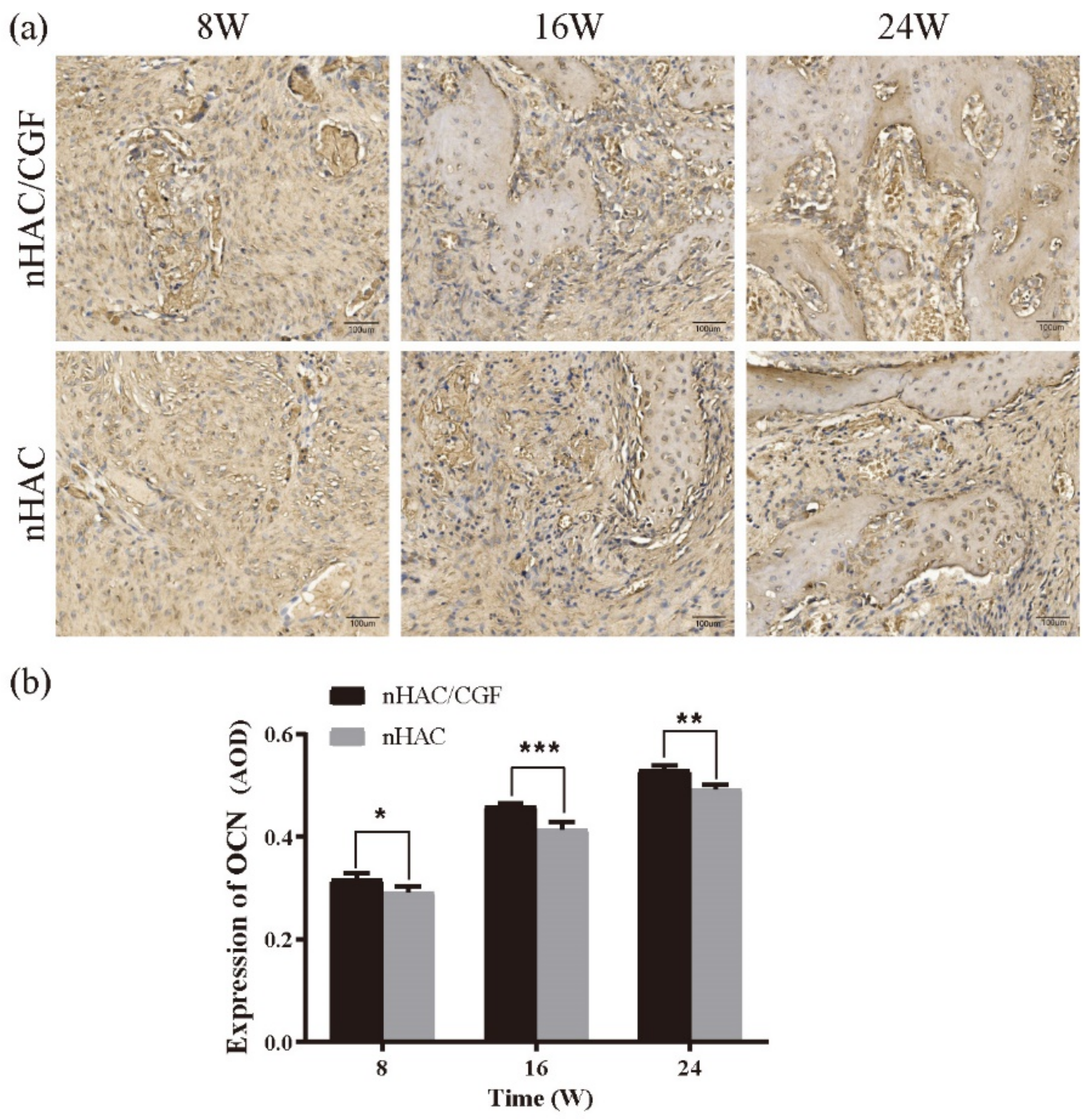 Nanomaterials 12 00212 g010 Nanomaterials 12 00212 g010