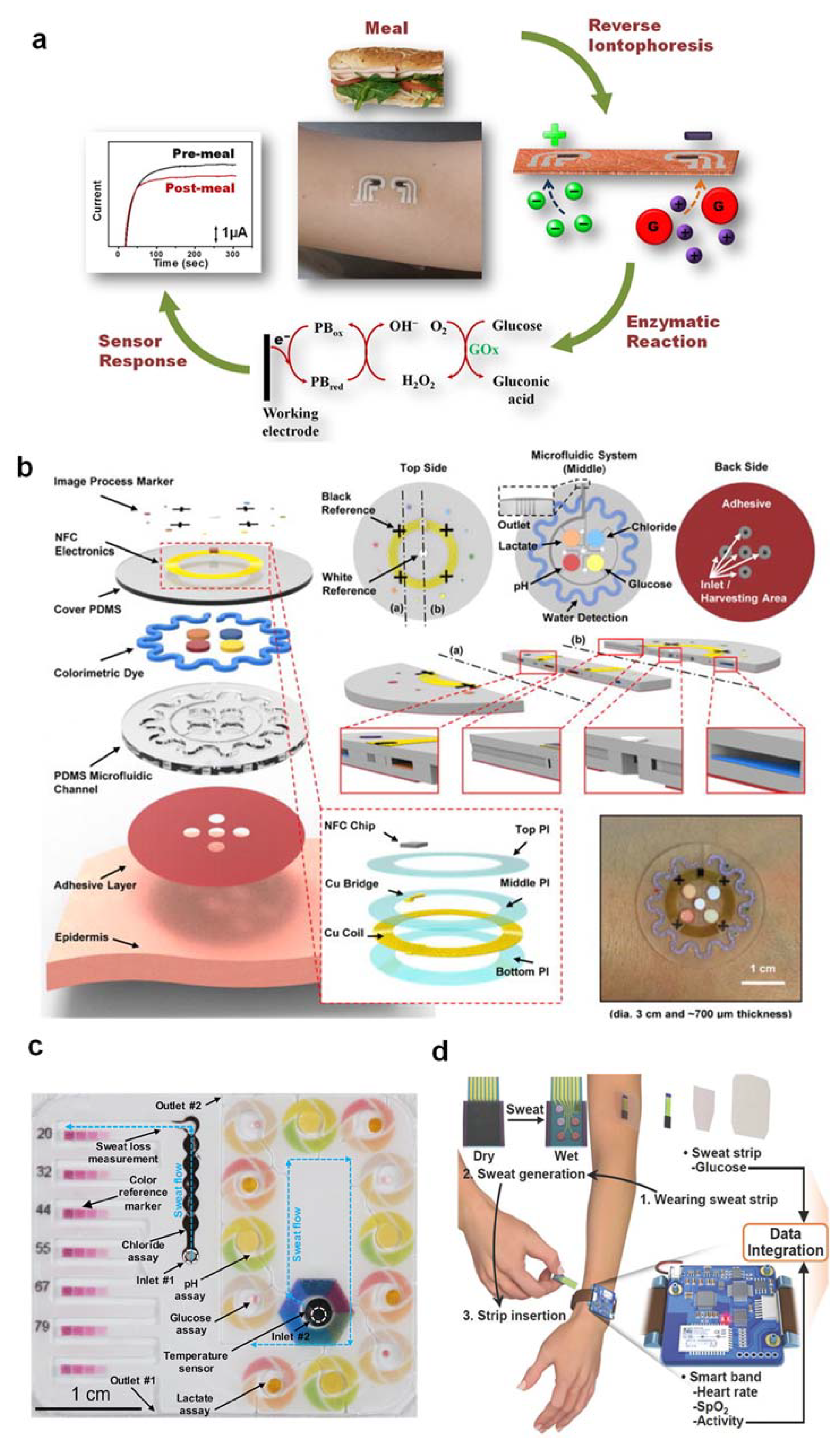 Nanomaterials 12 00221 g001
