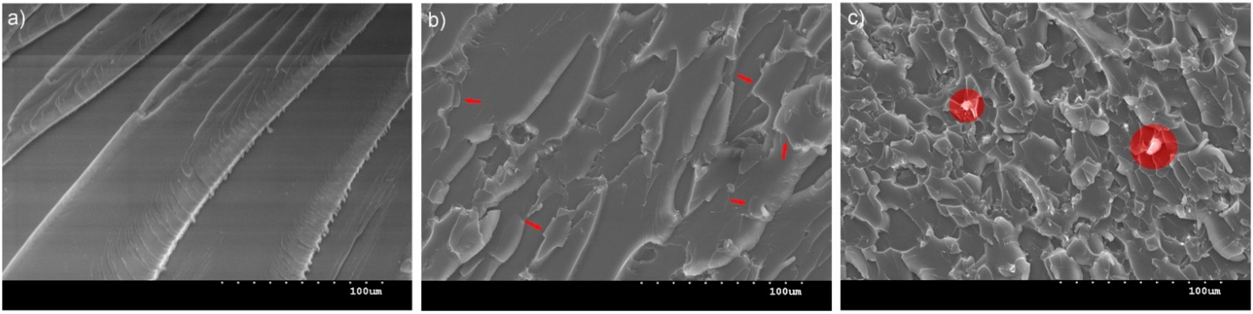 Nanomaterials 12 00222 g012