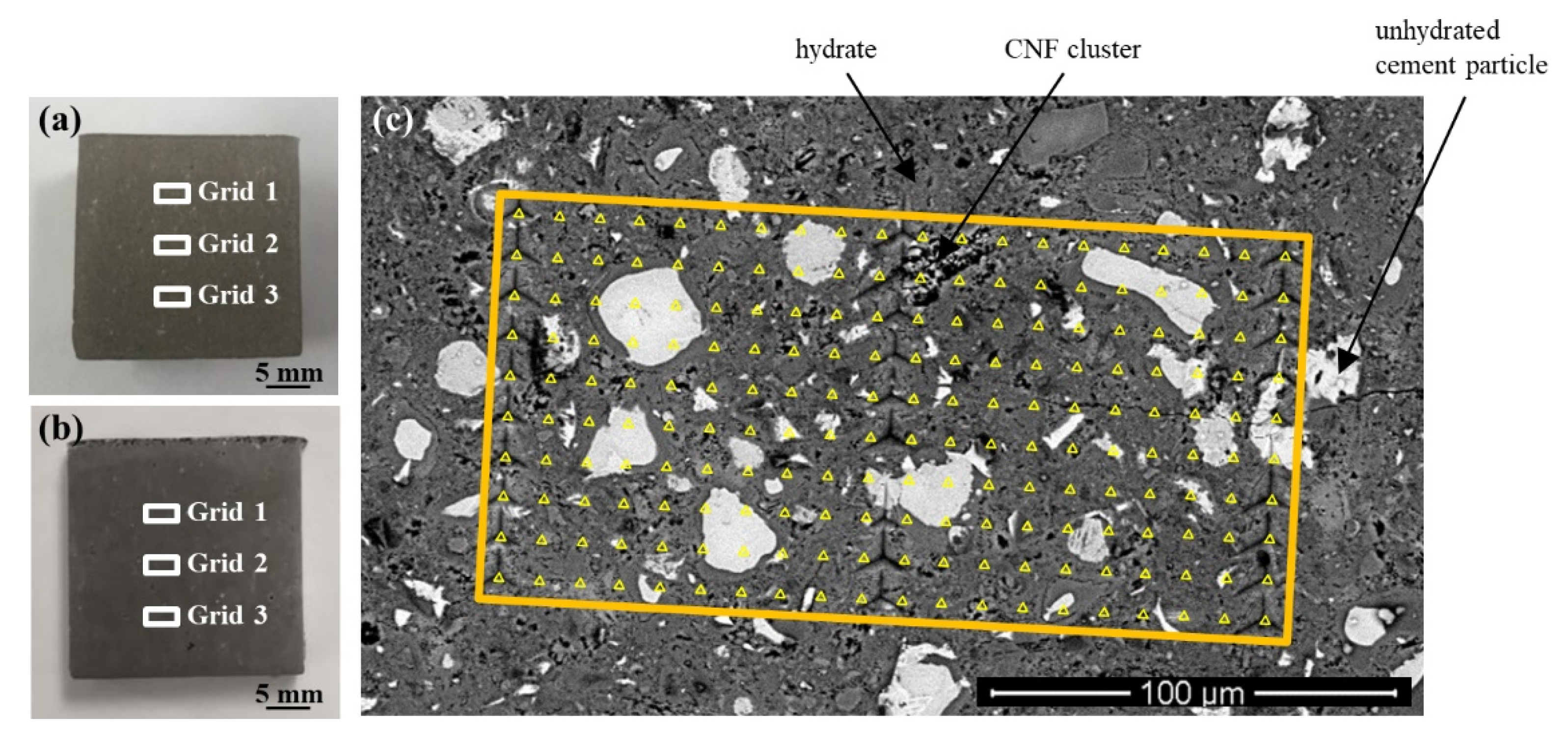 Nanomaterials 12 00223 g001