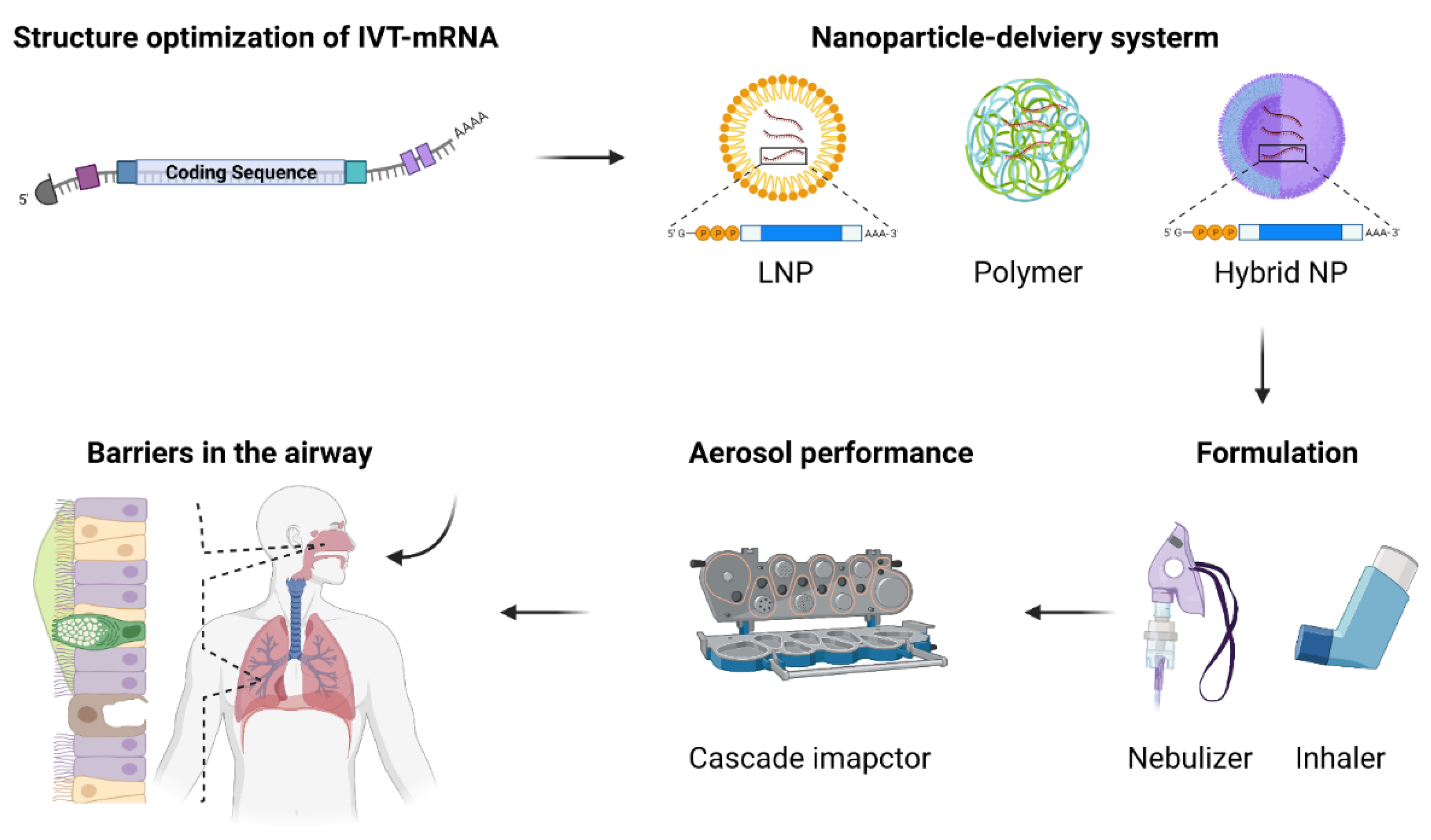 Nanomaterials 12 00226 g002