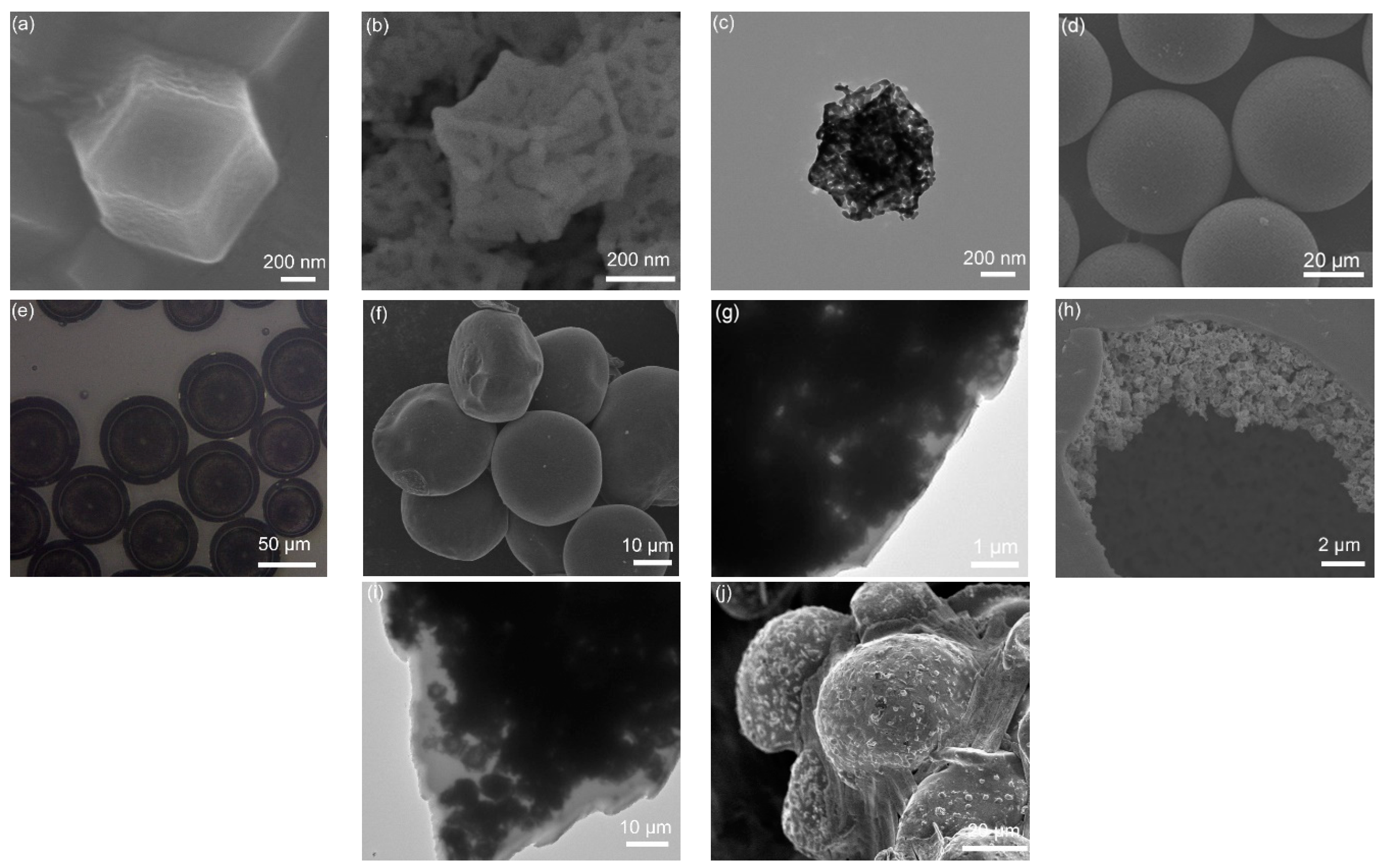 Nanomaterials 12 00236 g002