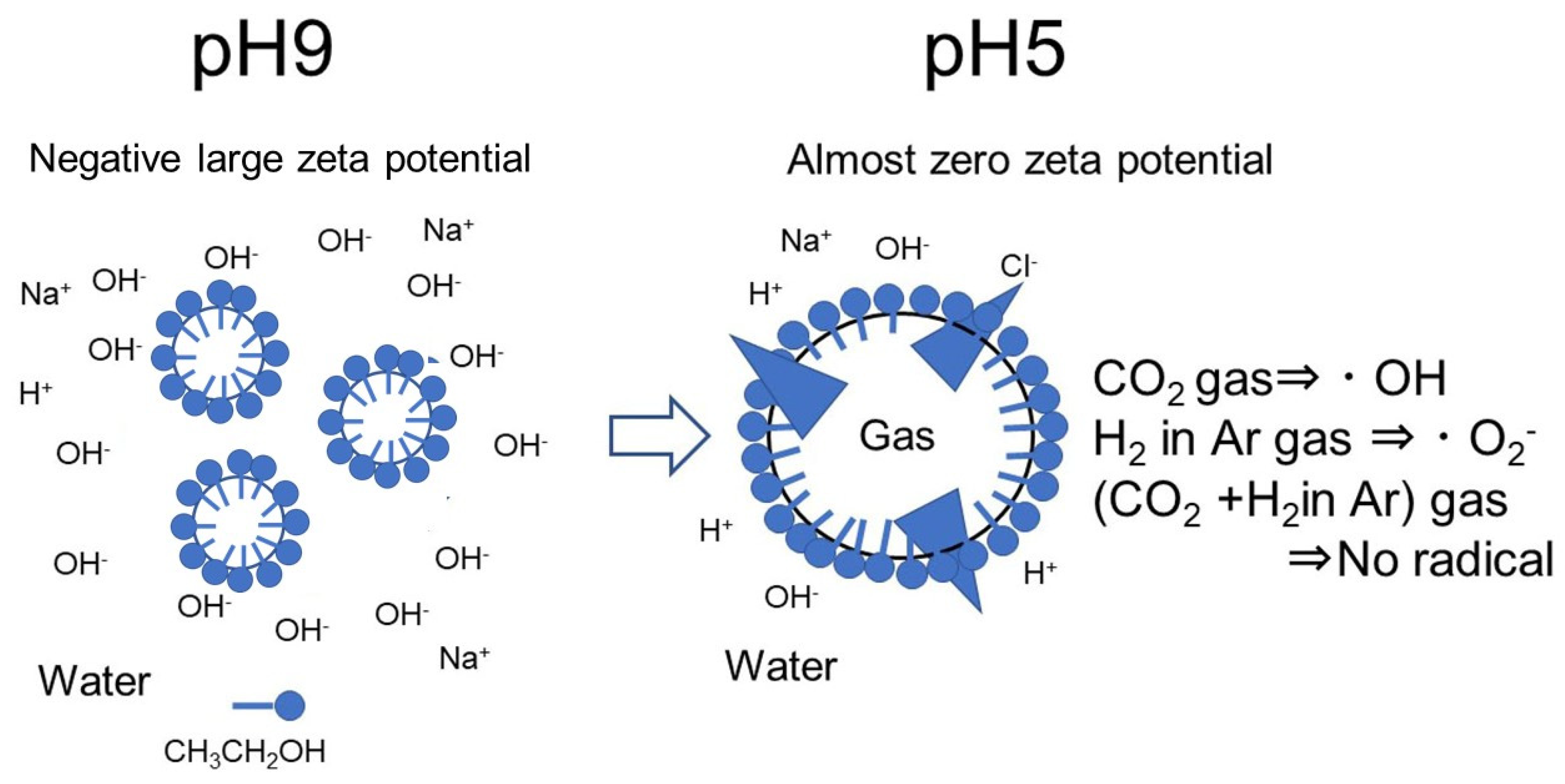 Nanomaterials 12 00237 g010 550