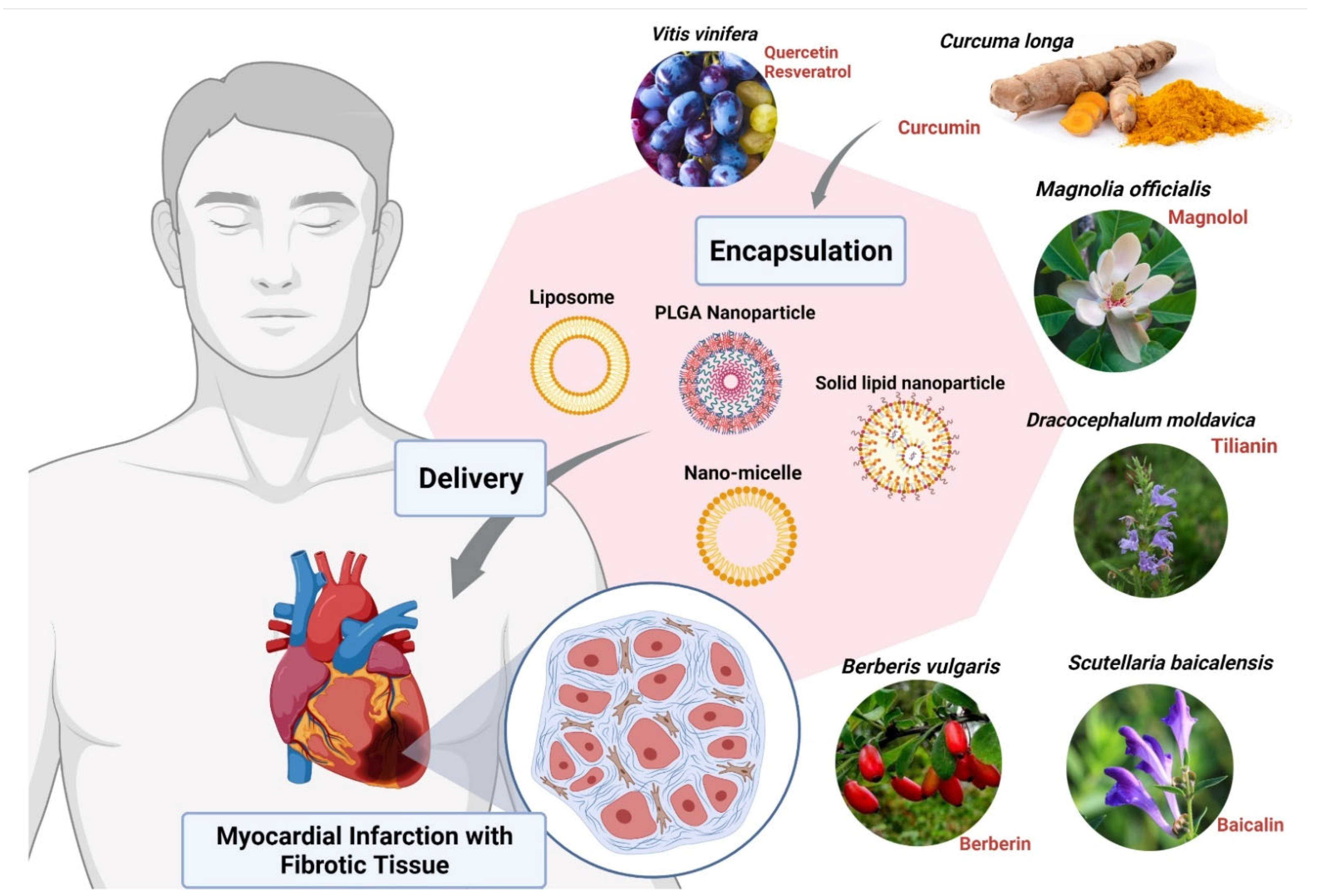 Nanomaterials 12 00238 g003 Nanomaterials 12 00238 g003