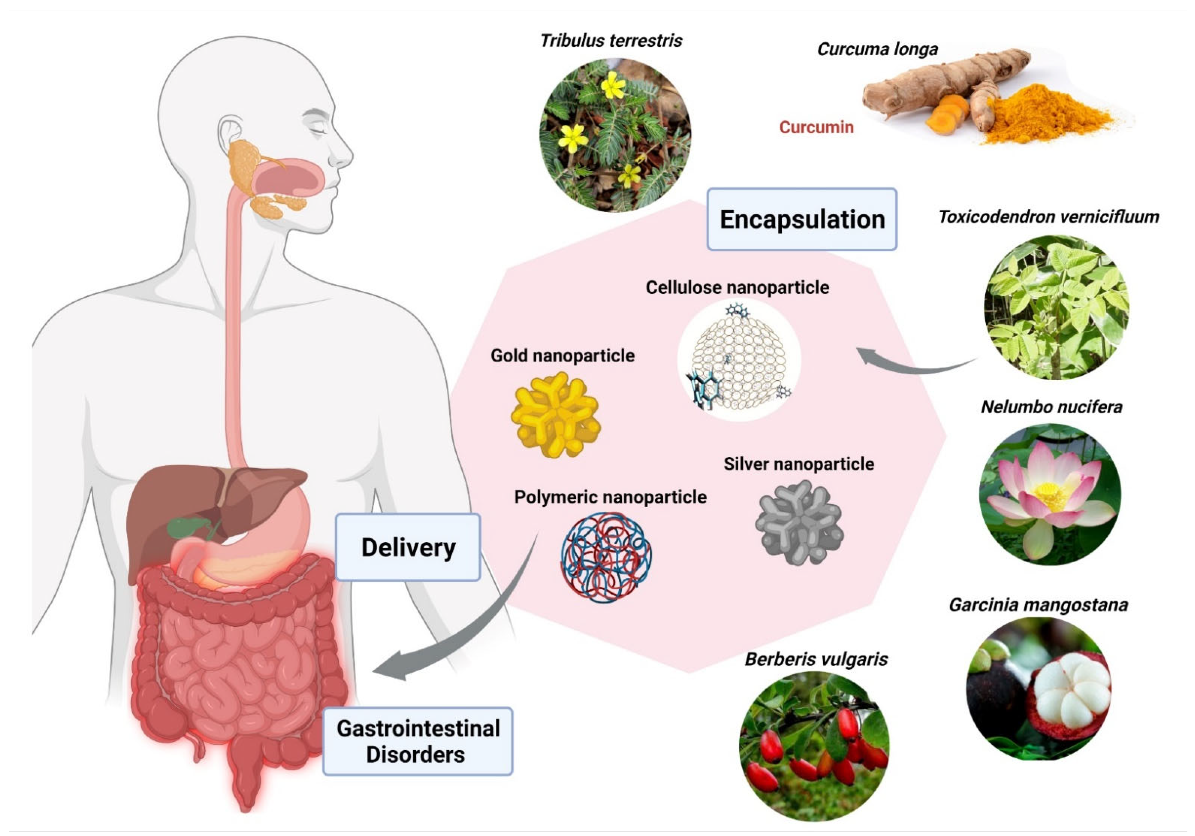 Nanomaterials 12 00238 g005 Nanomaterials 12 00238 g005