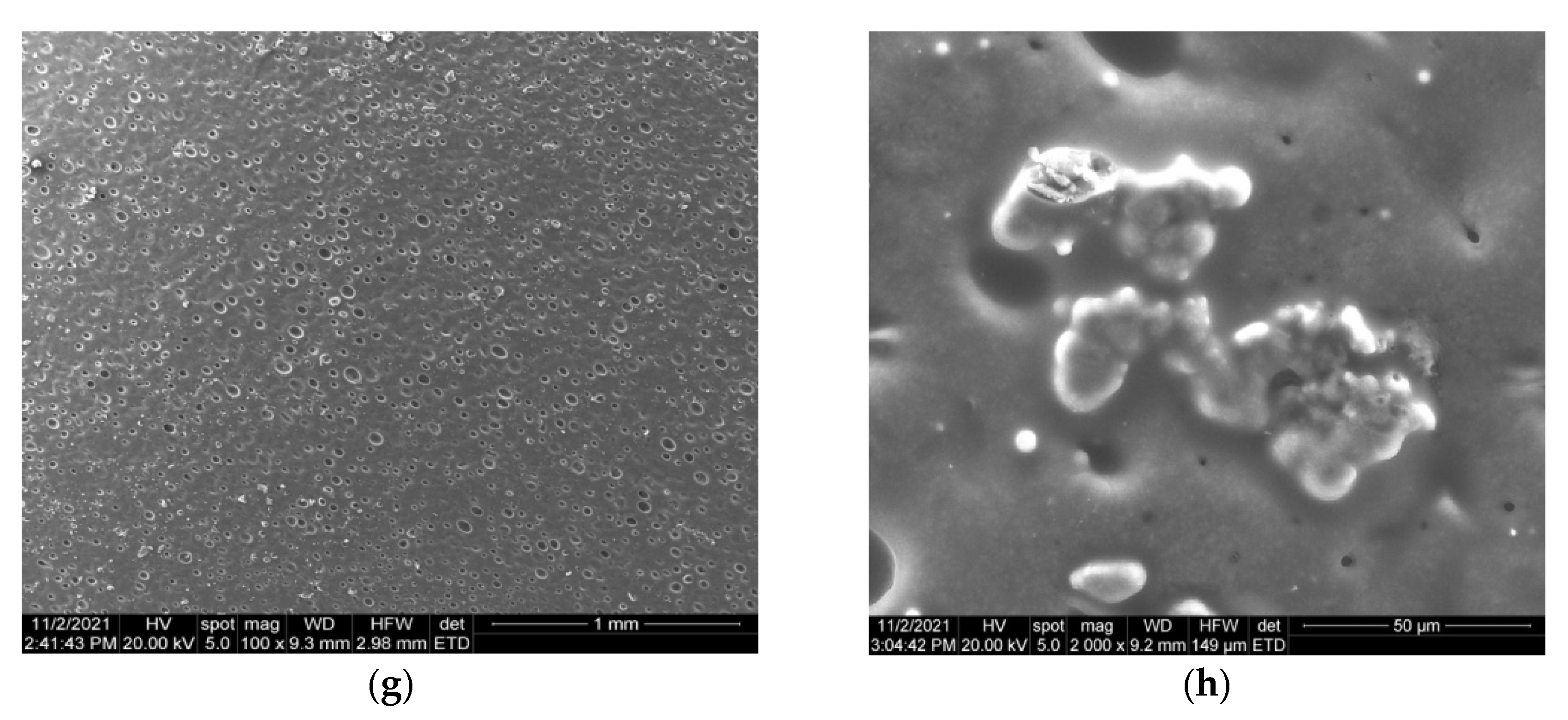 Nanomaterials 12 00239 g006b