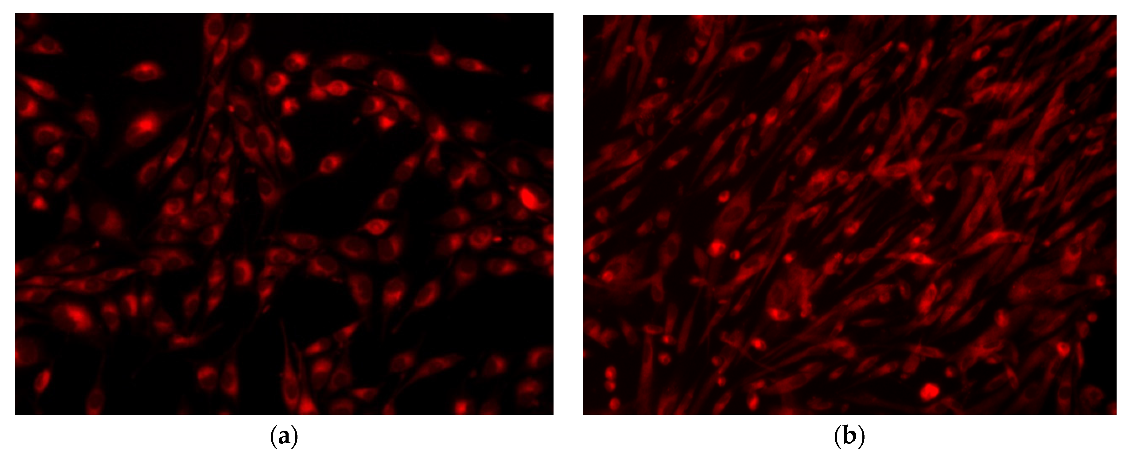 Nanomaterials 12 00239 g013a