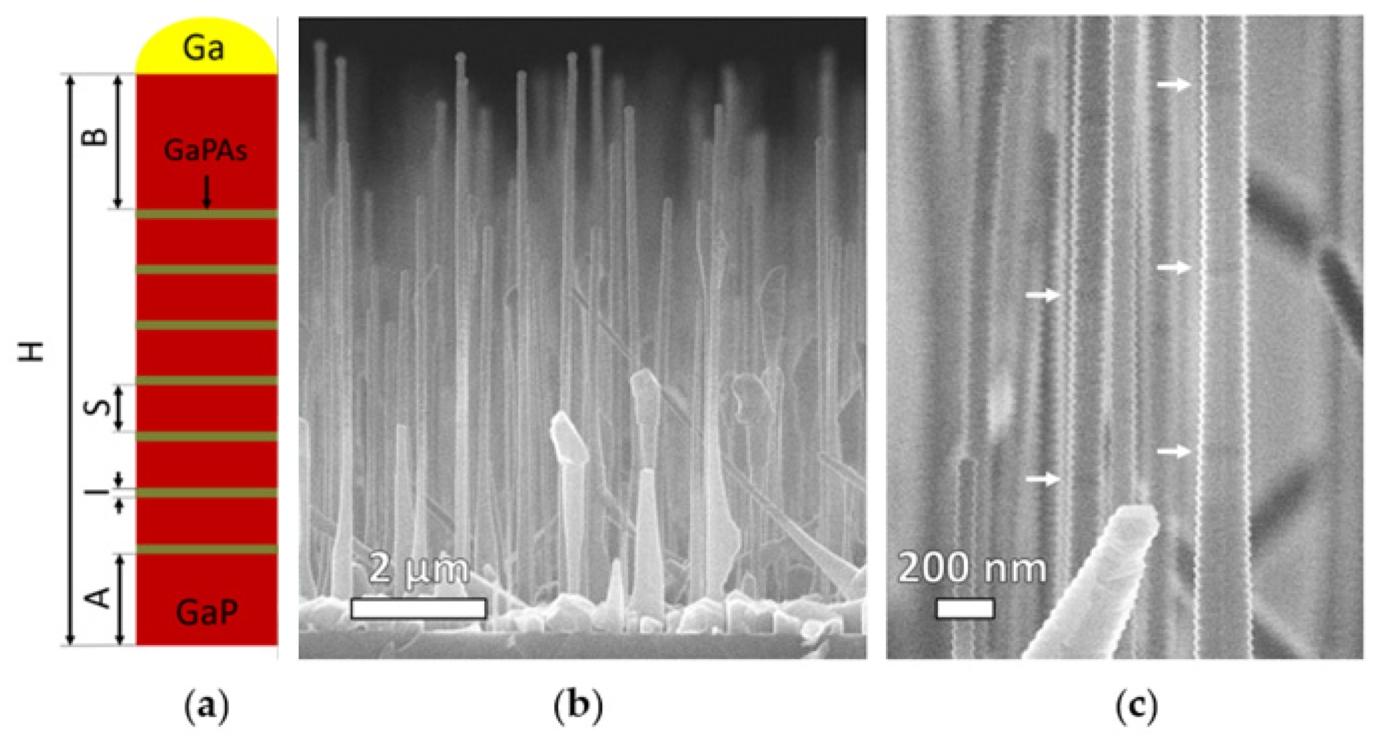 Nanomaterials 12 00241 g001