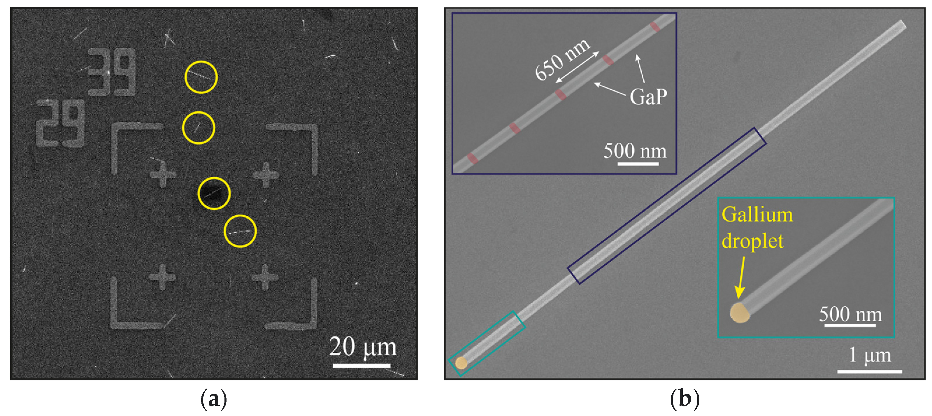Nanomaterials 12 00241 g002