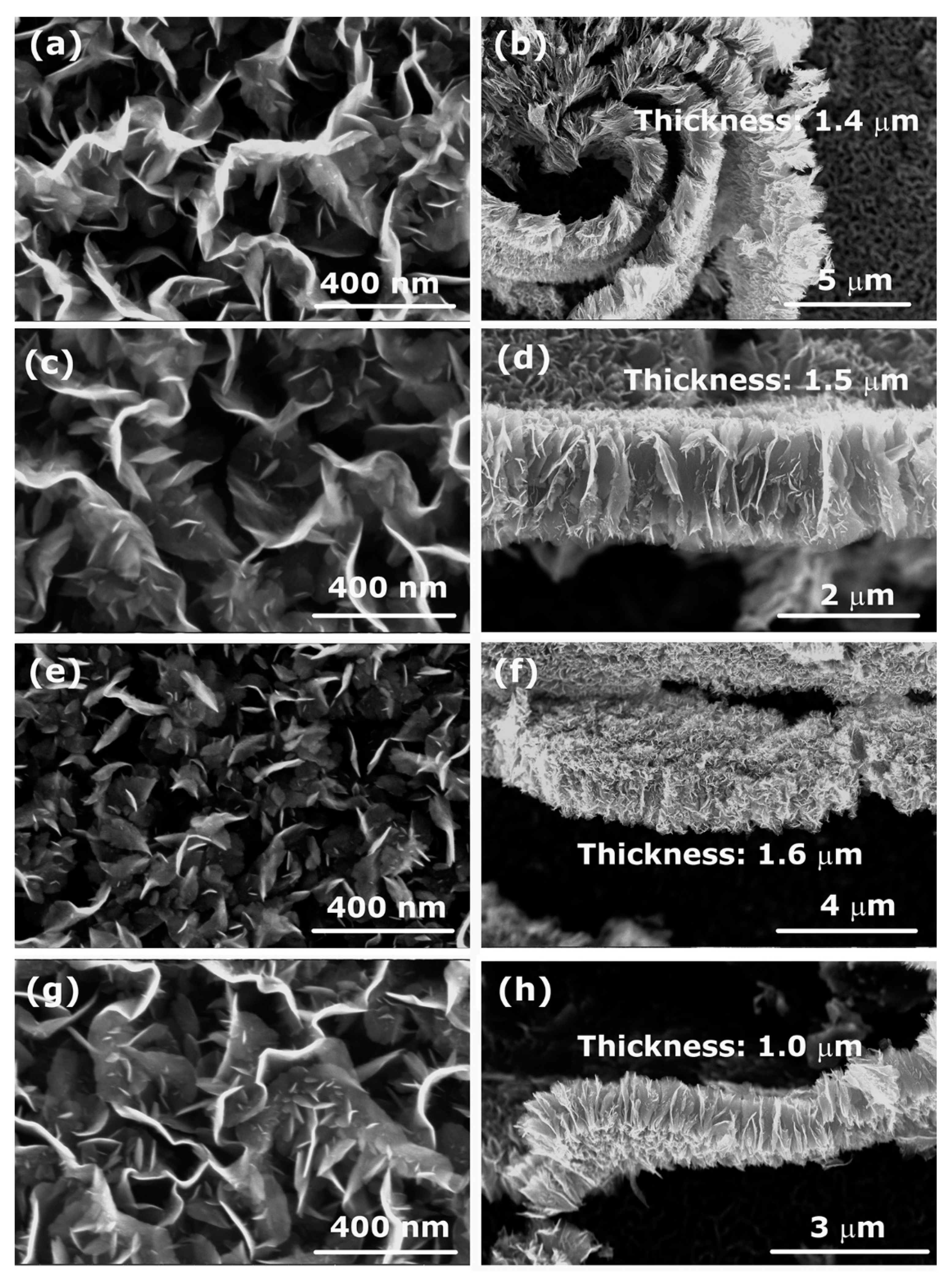 Nanomaterials 12 00246 g007