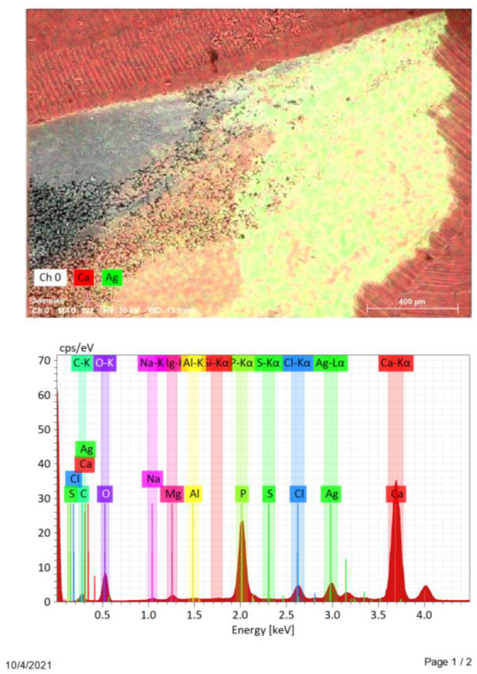 Nanomaterials 12 00248 g003 550