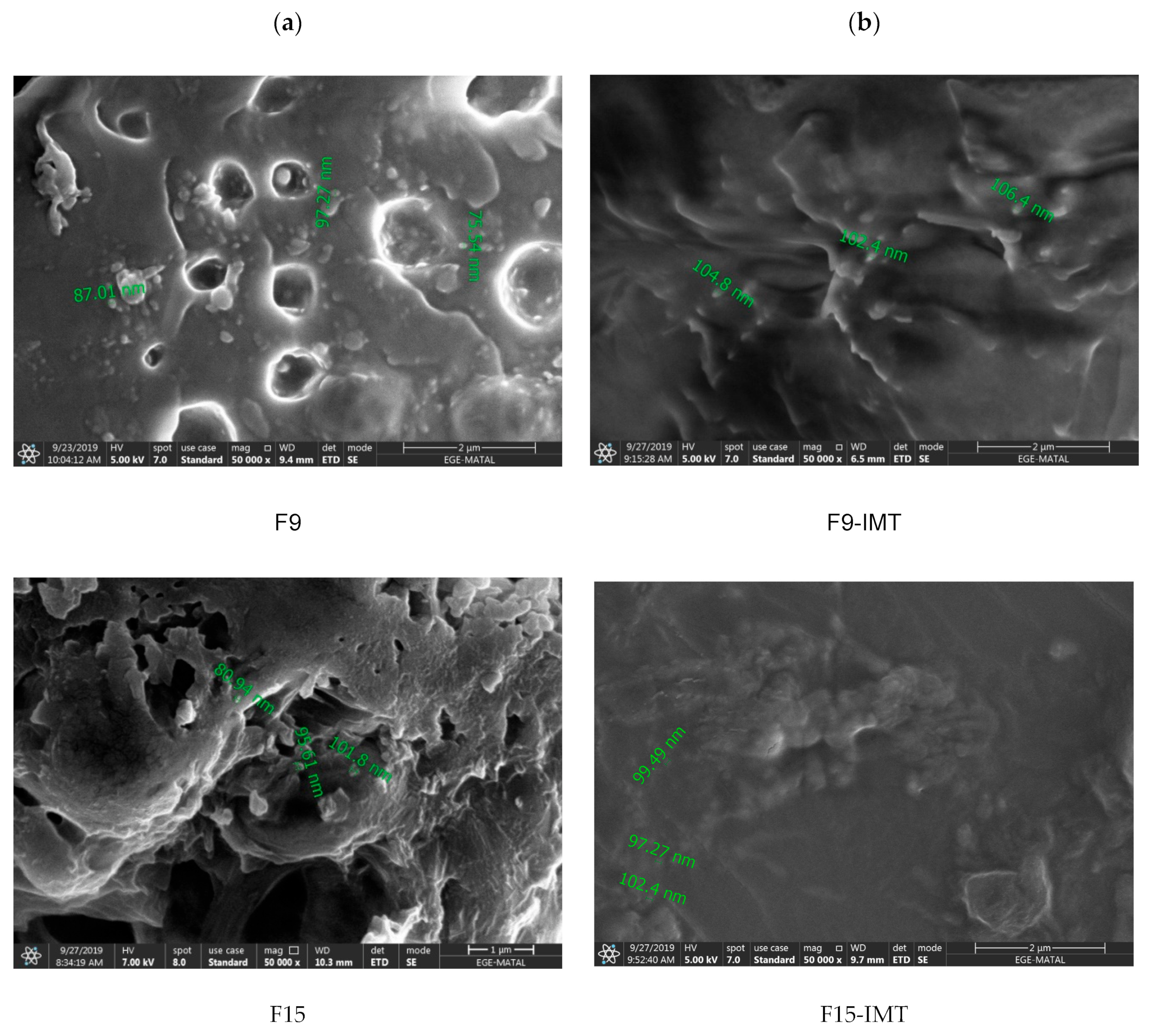Nanomaterials 12 00250 g001a 550