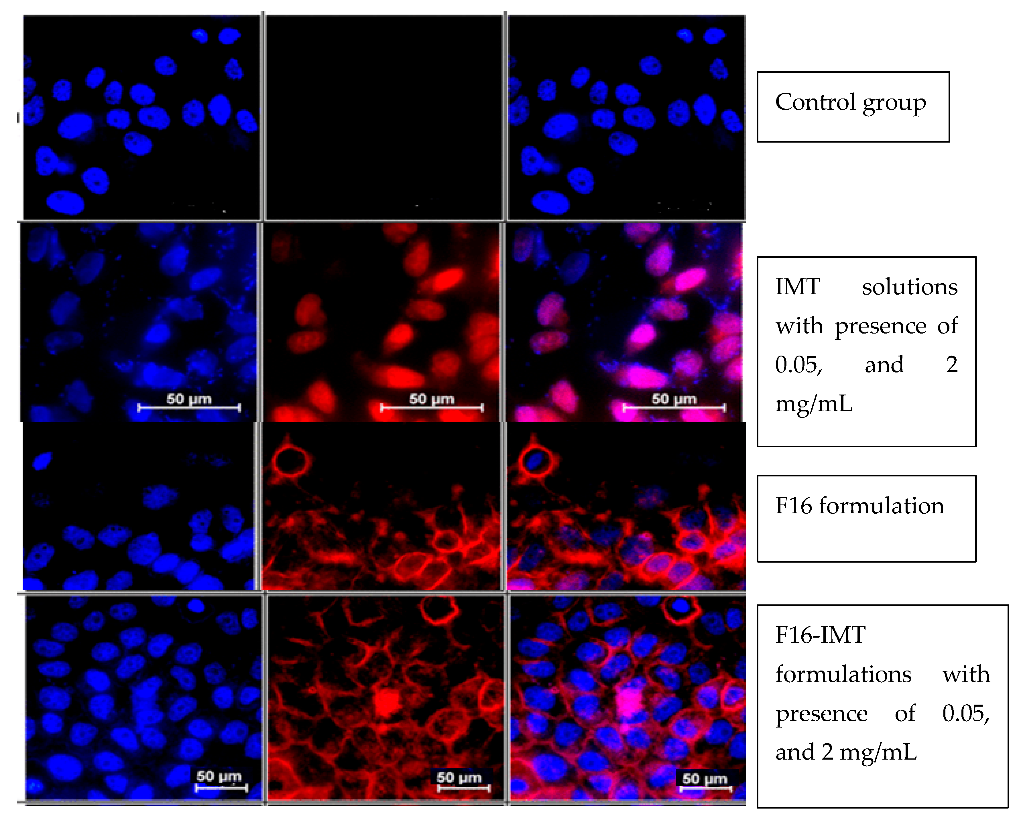 Nanomaterials 12 00250 g011 550