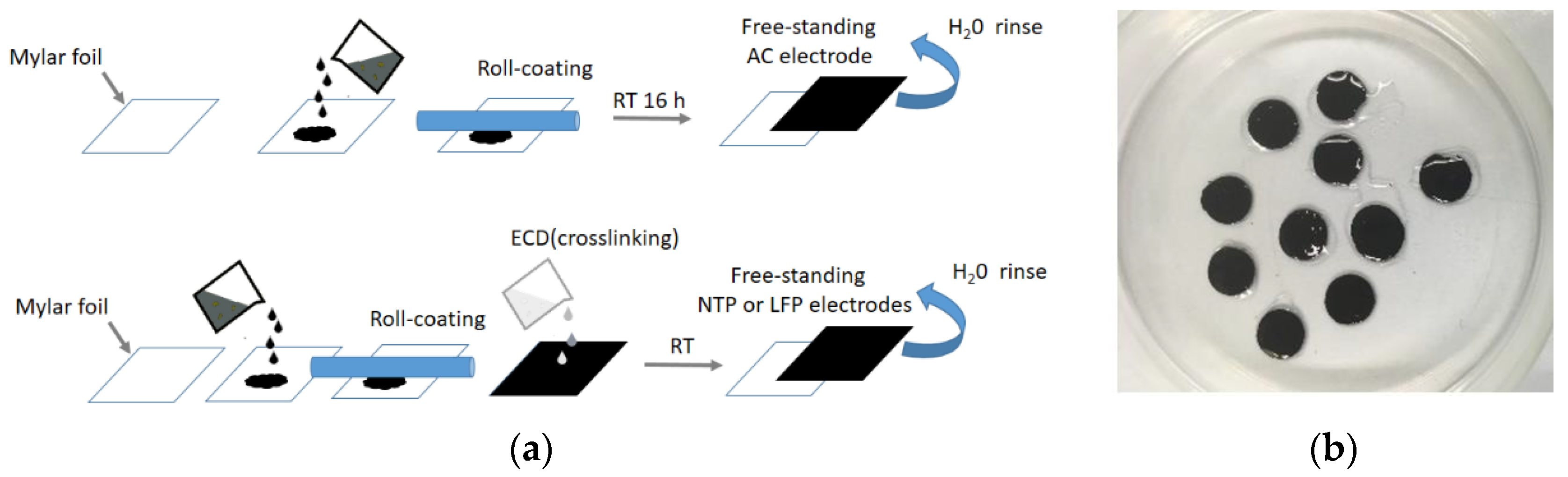 Nanomaterials 12 00254 g003 550